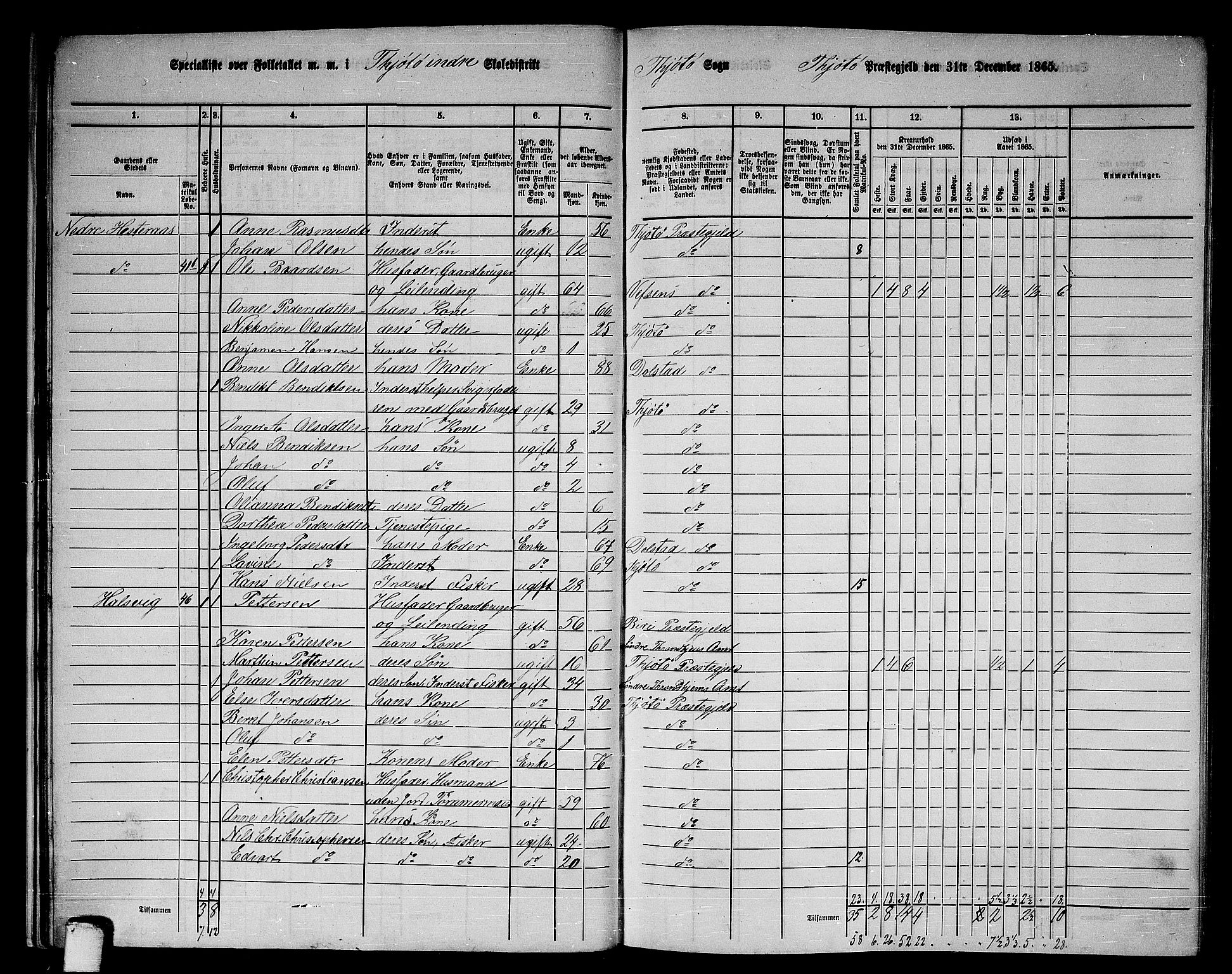 RA, 1865 census for Tjøtta, 1865, p. 25