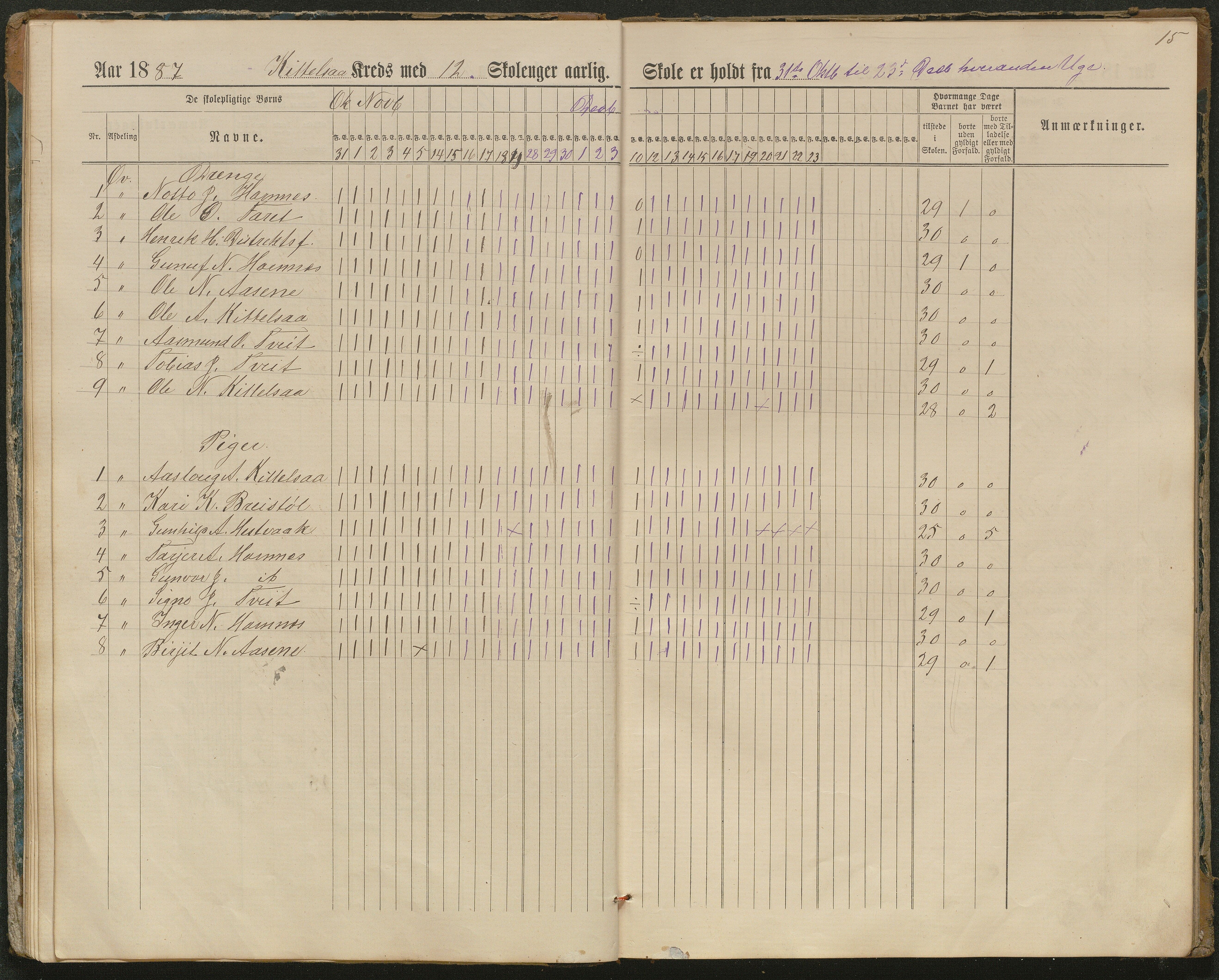 Hornnes kommune, Kjetså, Fennefoss skolekrets, AAKS/KA0936-550c/F1/L0002: Skoleprotokoll. Kjetså og Fennefoss, 1884-1896, p. 15