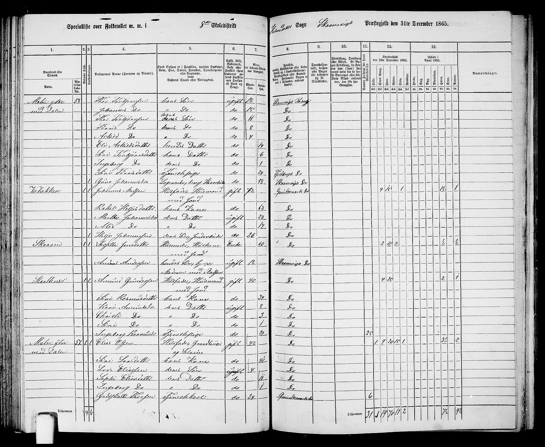 RA, 1865 census for Skånevik, 1865, p. 120