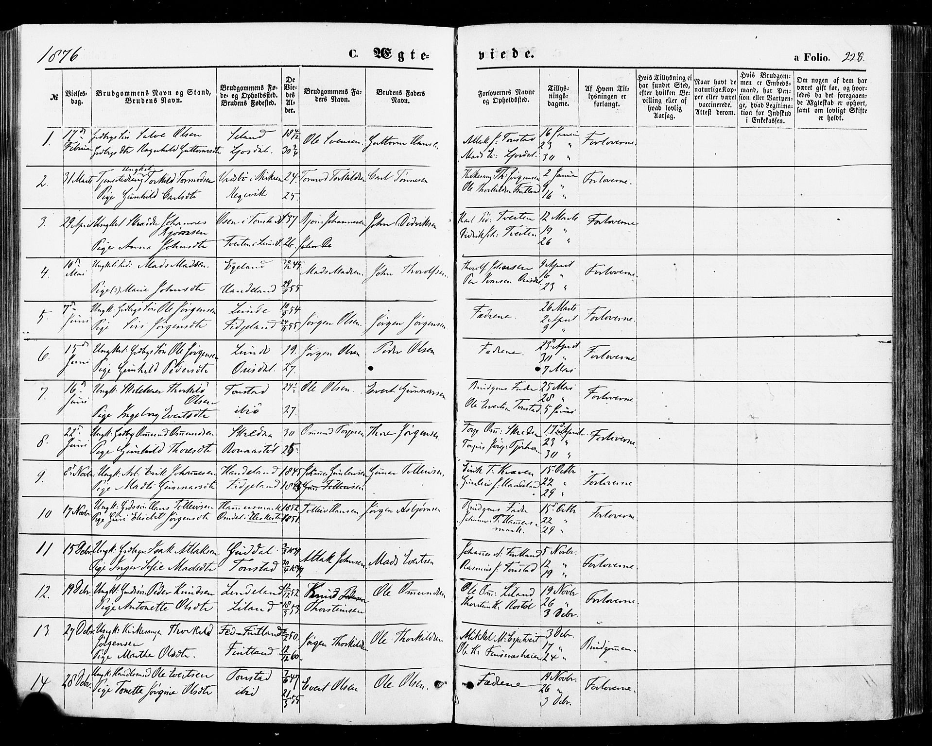 Sirdal sokneprestkontor, AV/SAK-1111-0036/F/Fa/Fab/L0003: Parish register (official) no. A 3, 1874-1886, p. 228