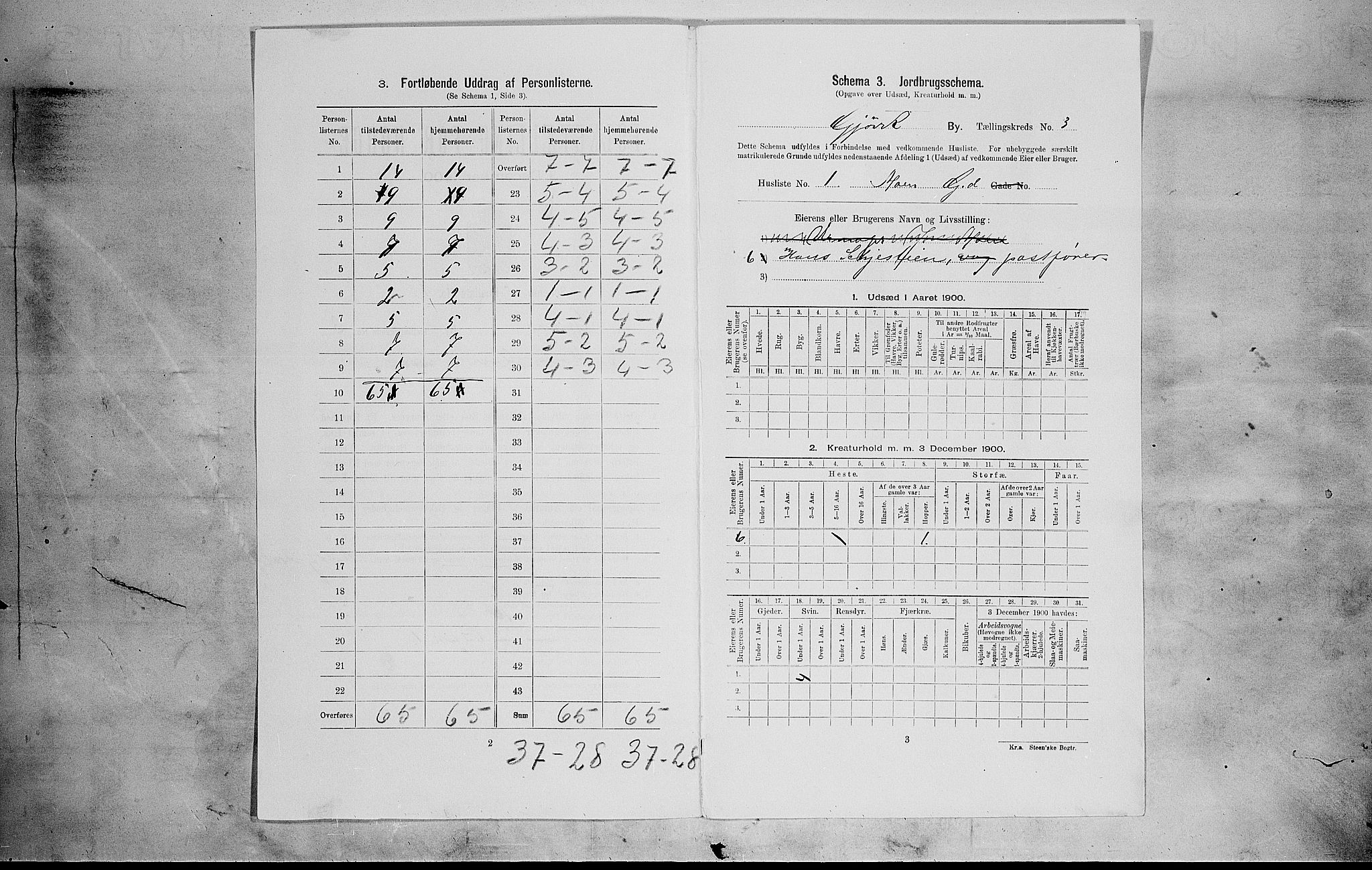 SAH, 1900 census for Gjøvik, 1900, p. 308