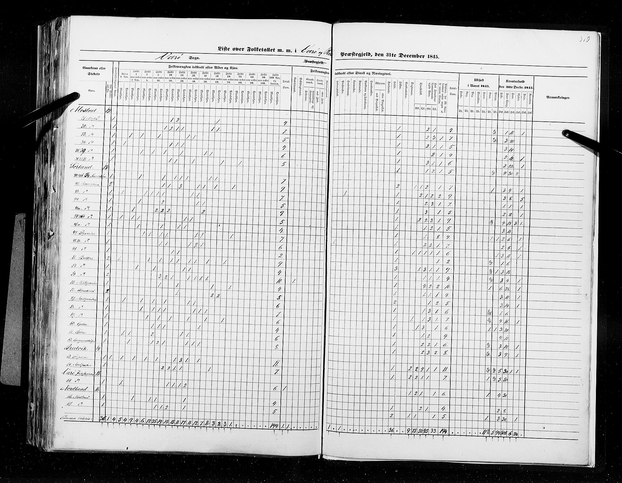 RA, Census 1845, vol. 9B: Nordland amt, 1845, p. 510