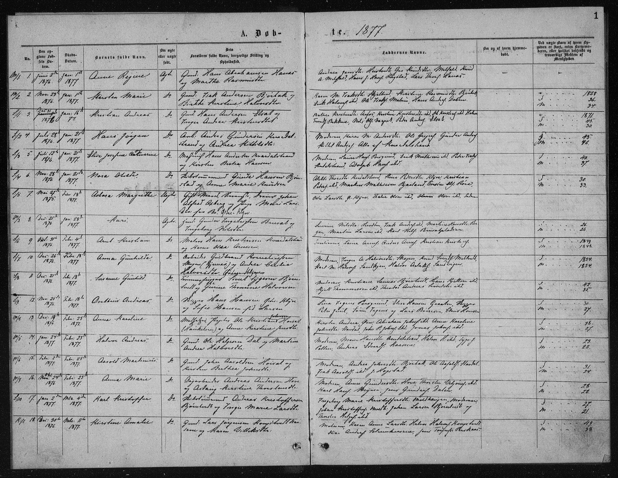 Solum kirkebøker, AV/SAKO-A-306/G/Ga/L0005: Parish register (copy) no. I 5, 1877-1881, p. 1