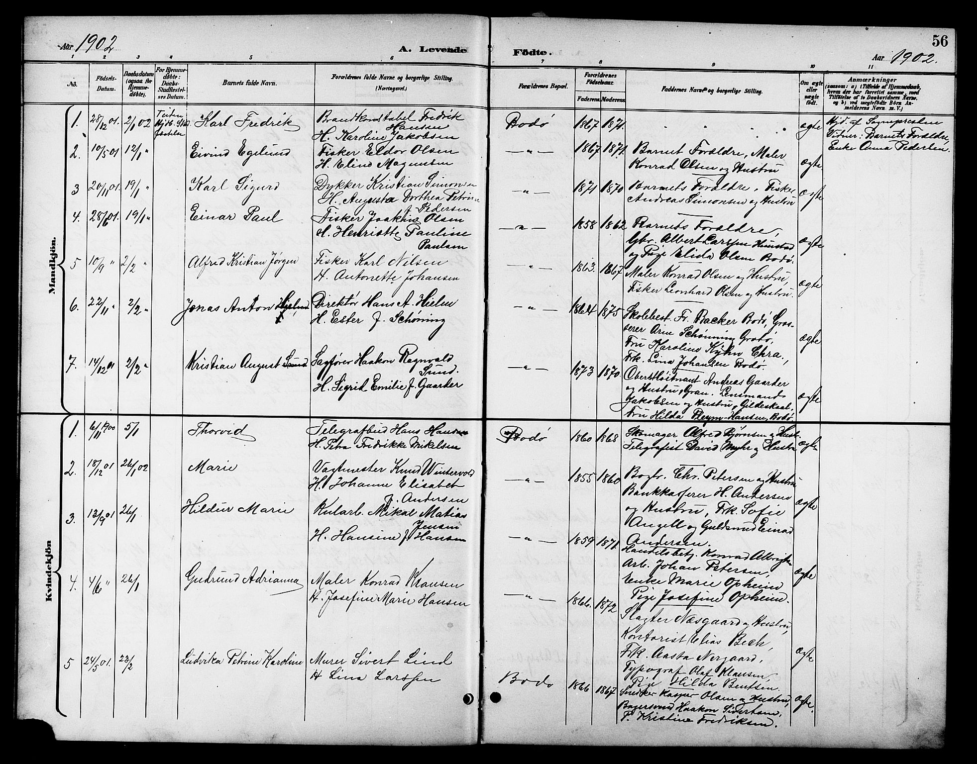 Ministerialprotokoller, klokkerbøker og fødselsregistre - Nordland, AV/SAT-A-1459/801/L0033: Parish register (copy) no. 801C08, 1898-1910, p. 56