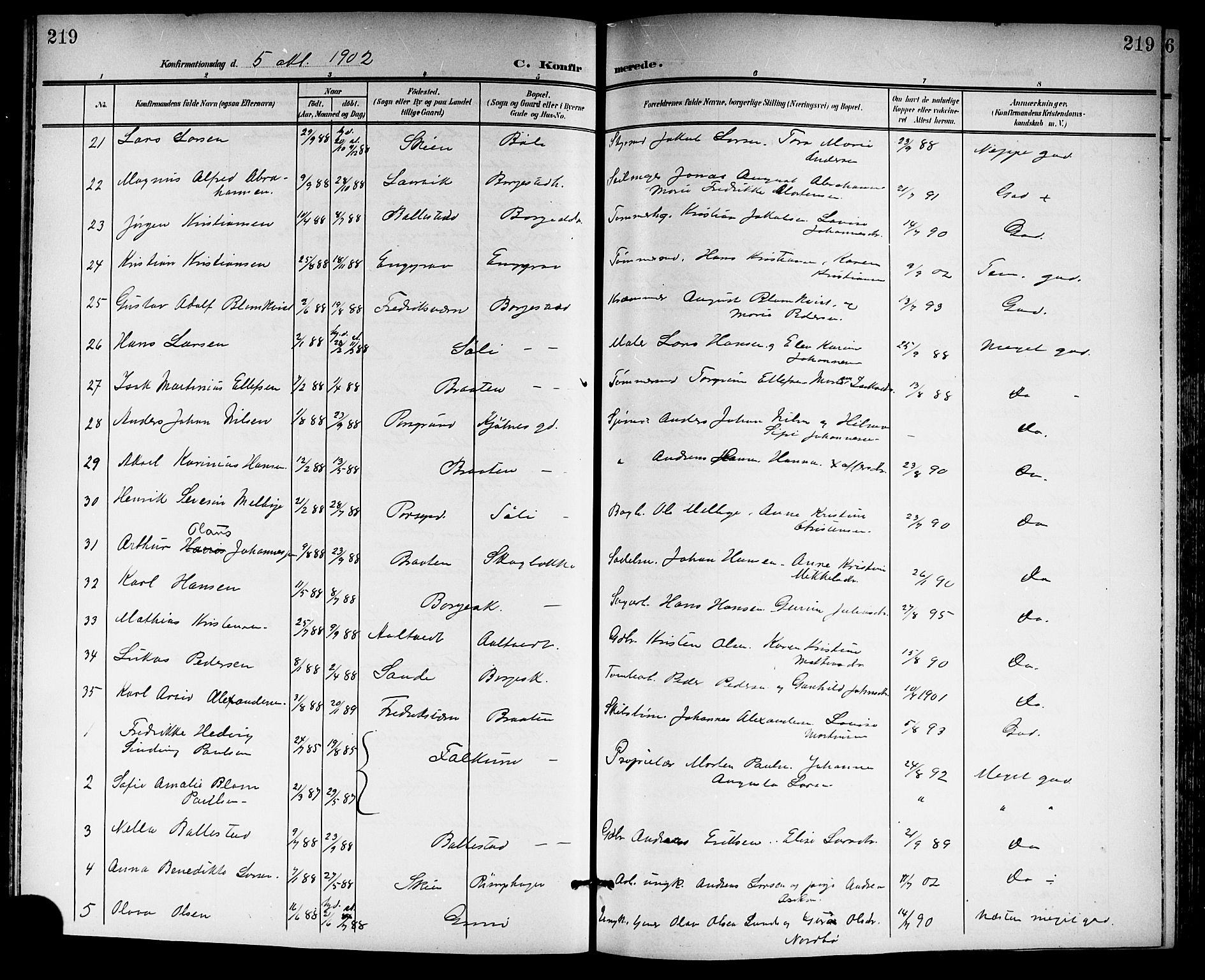 Gjerpen kirkebøker, AV/SAKO-A-265/G/Ga/L0003: Parish register (copy) no. I 3, 1901-1919, p. 219