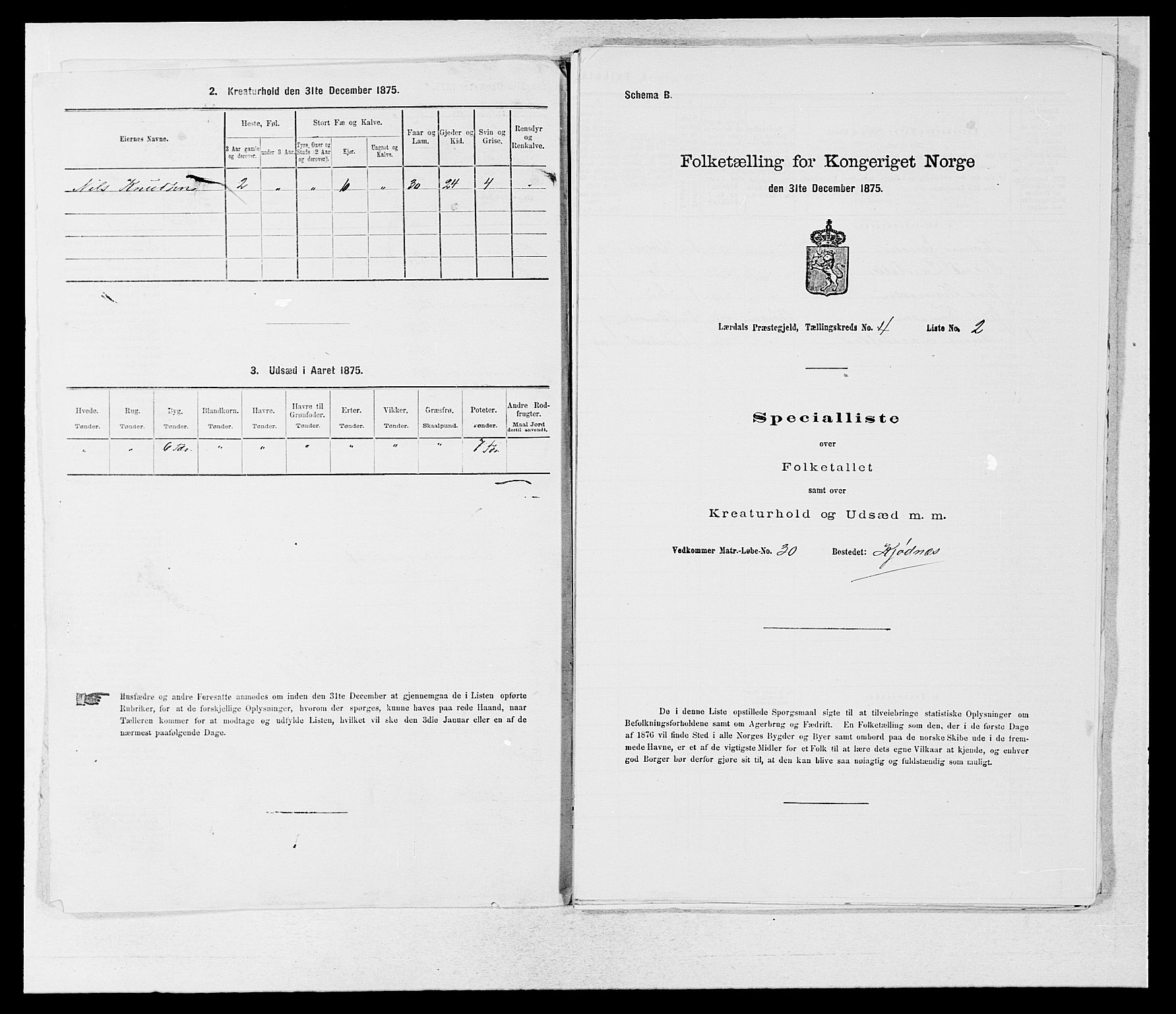 SAB, 1875 census for 1422P Lærdal, 1875, p. 491