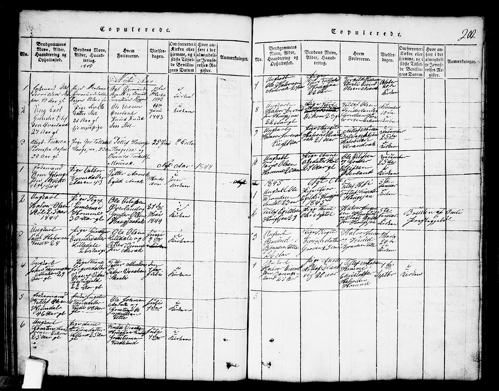 Nissedal kirkebøker, SAKO/A-288/G/Gb/L0001: Parish register (copy) no. II 1, 1814-1862, p. 202