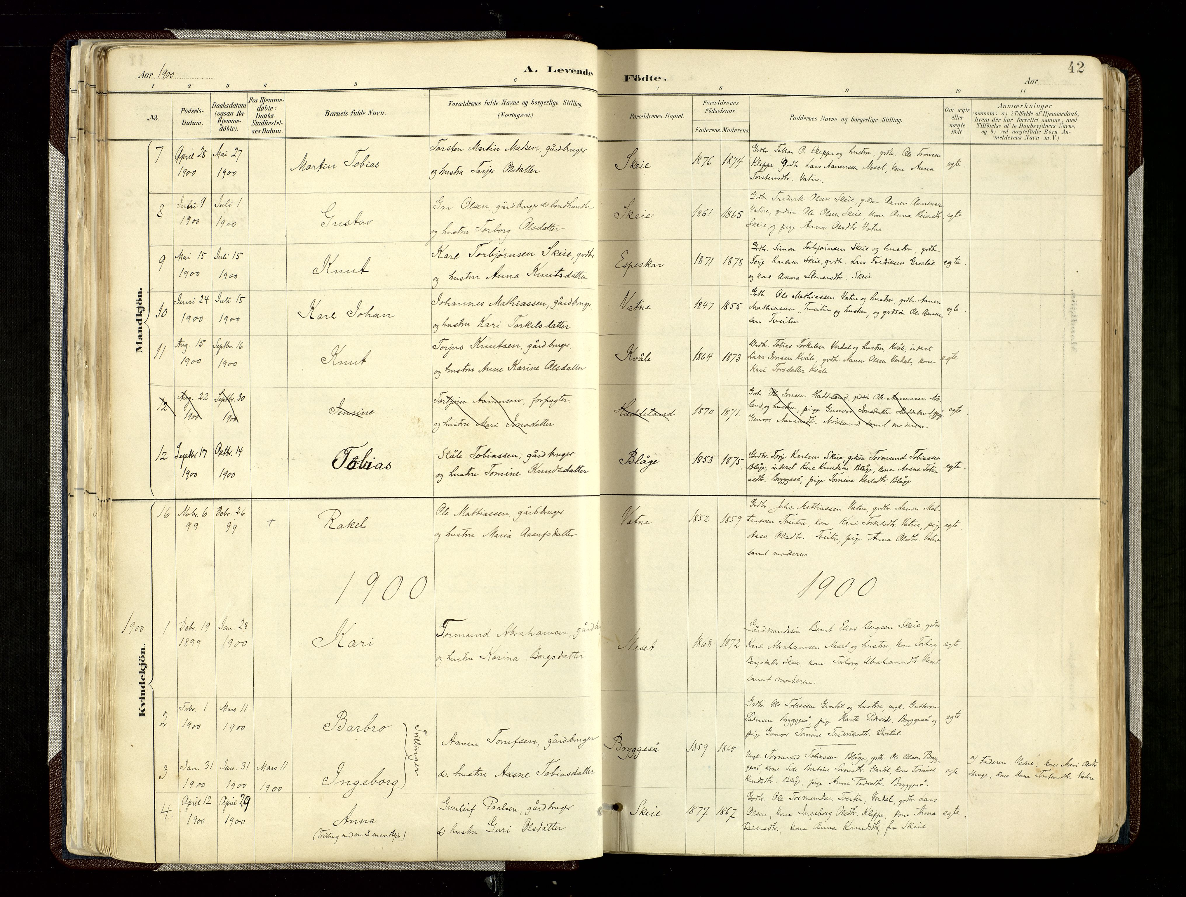 Hægebostad sokneprestkontor, SAK/1111-0024/F/Fa/Fab/L0004: Parish register (official) no. A 4, 1887-1929, p. 42