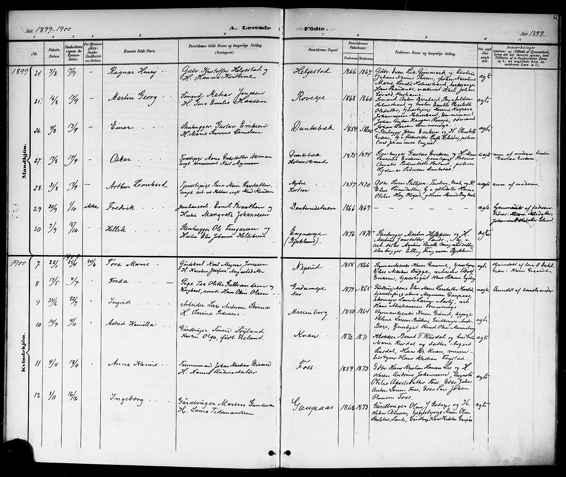 Botne kirkebøker, AV/SAKO-A-340/G/Ga/L0004: Parish register (copy) no. I 4, 1899-1915, p. 8