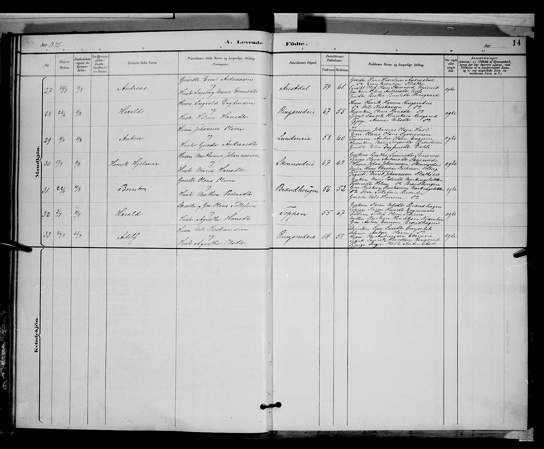 Biri prestekontor, SAH/PREST-096/H/Ha/Hab/L0003: Parish register (copy) no. 3, 1892-1905, p. 14