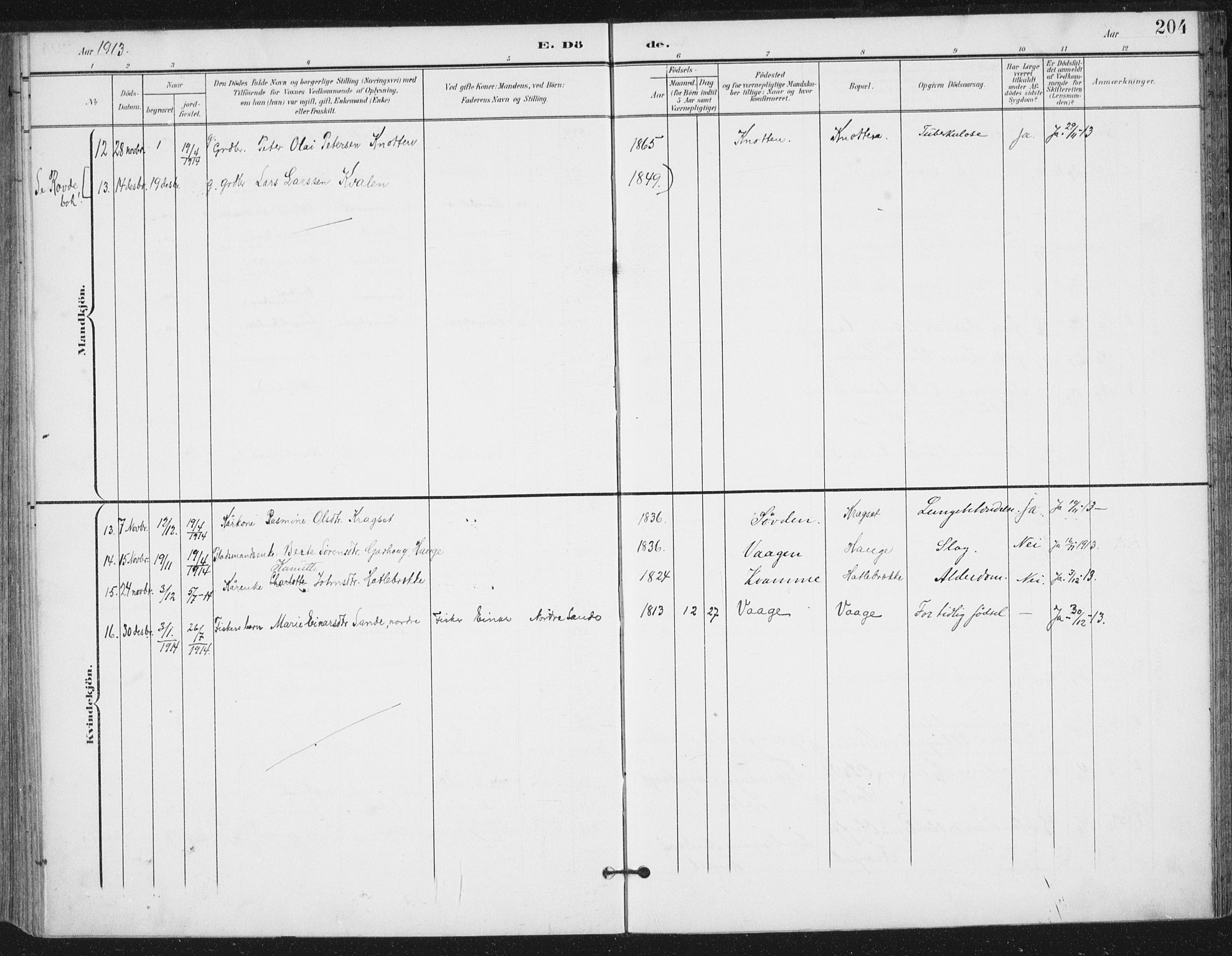 Ministerialprotokoller, klokkerbøker og fødselsregistre - Møre og Romsdal, AV/SAT-A-1454/503/L0038: Parish register (official) no. 503A06, 1901-1917, p. 204