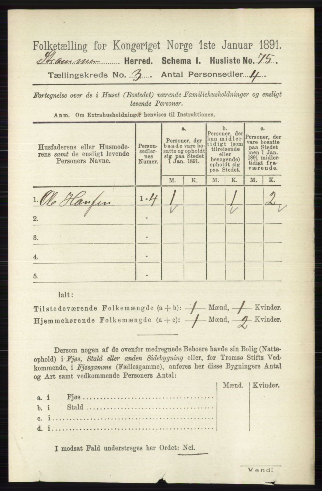 RA, 1891 census for 0711 Strømm, 1891, p. 1066