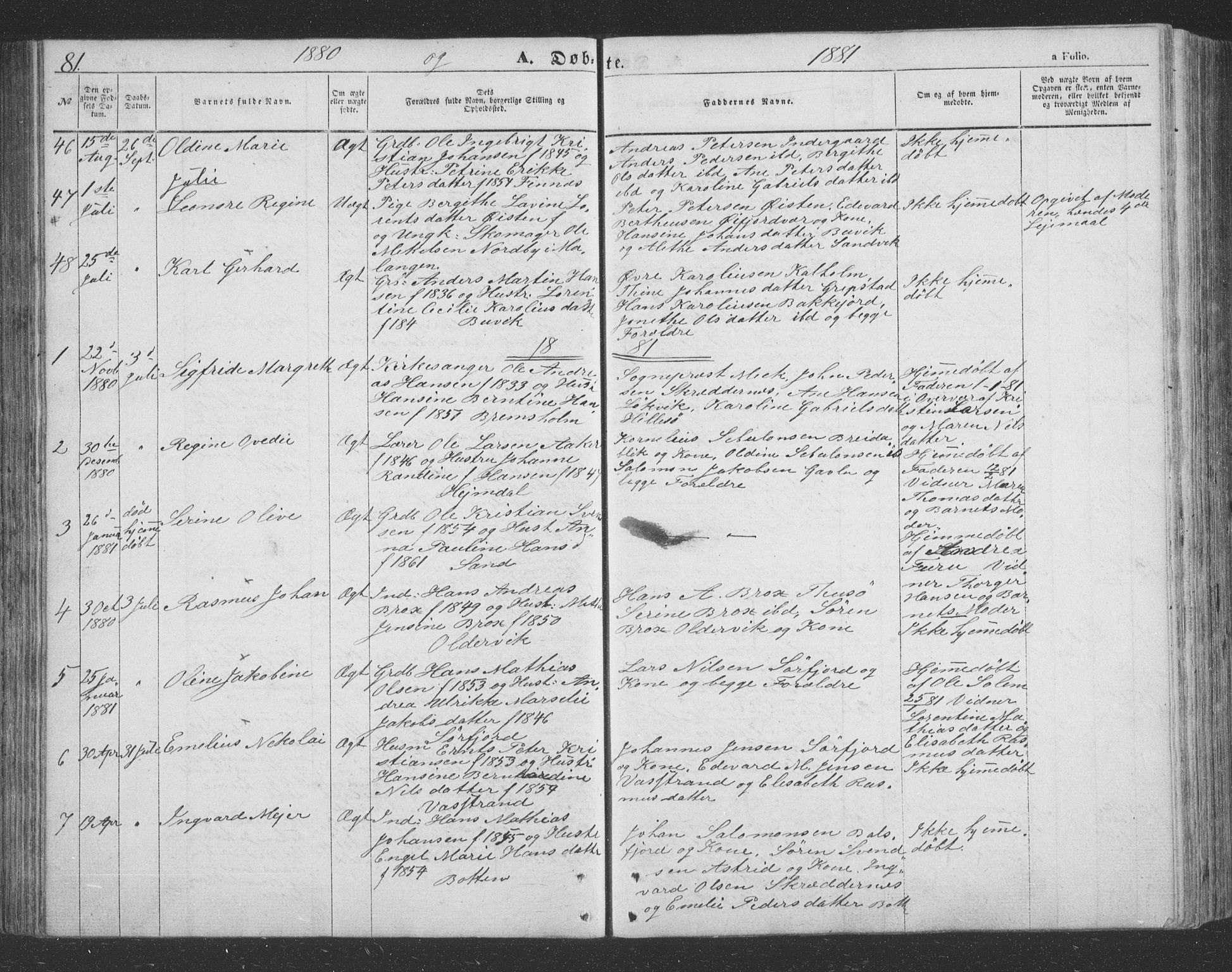 Lenvik sokneprestembete, AV/SATØ-S-1310/H/Ha/Hab/L0020klokker: Parish register (copy) no. 20, 1855-1883, p. 81