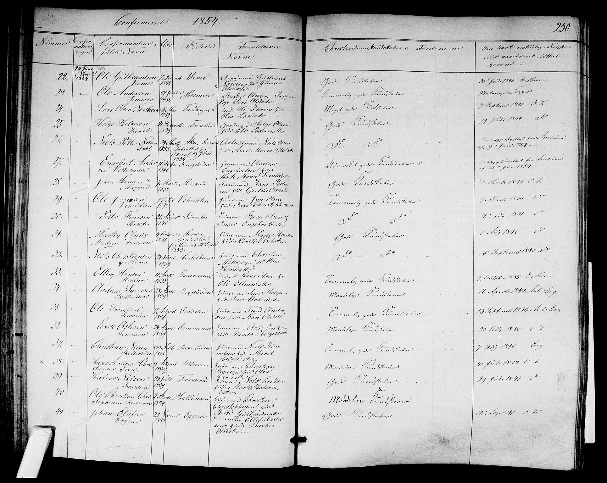 Norderhov kirkebøker, SAKO/A-237/F/Fa/L0011: Parish register (official) no. 11, 1847-1856, p. 250