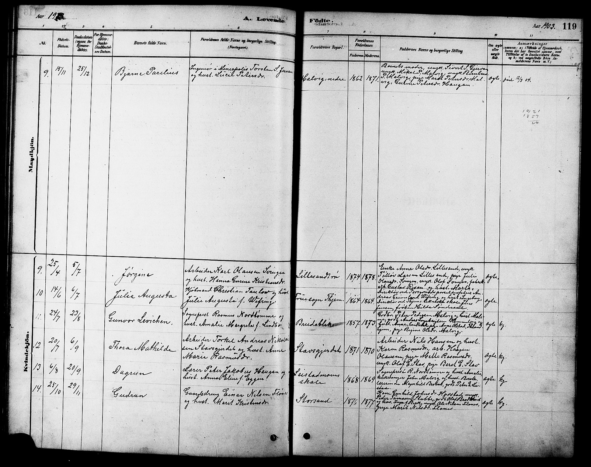 Ministerialprotokoller, klokkerbøker og fødselsregistre - Sør-Trøndelag, SAT/A-1456/616/L0423: Parish register (copy) no. 616C06, 1878-1903, p. 119