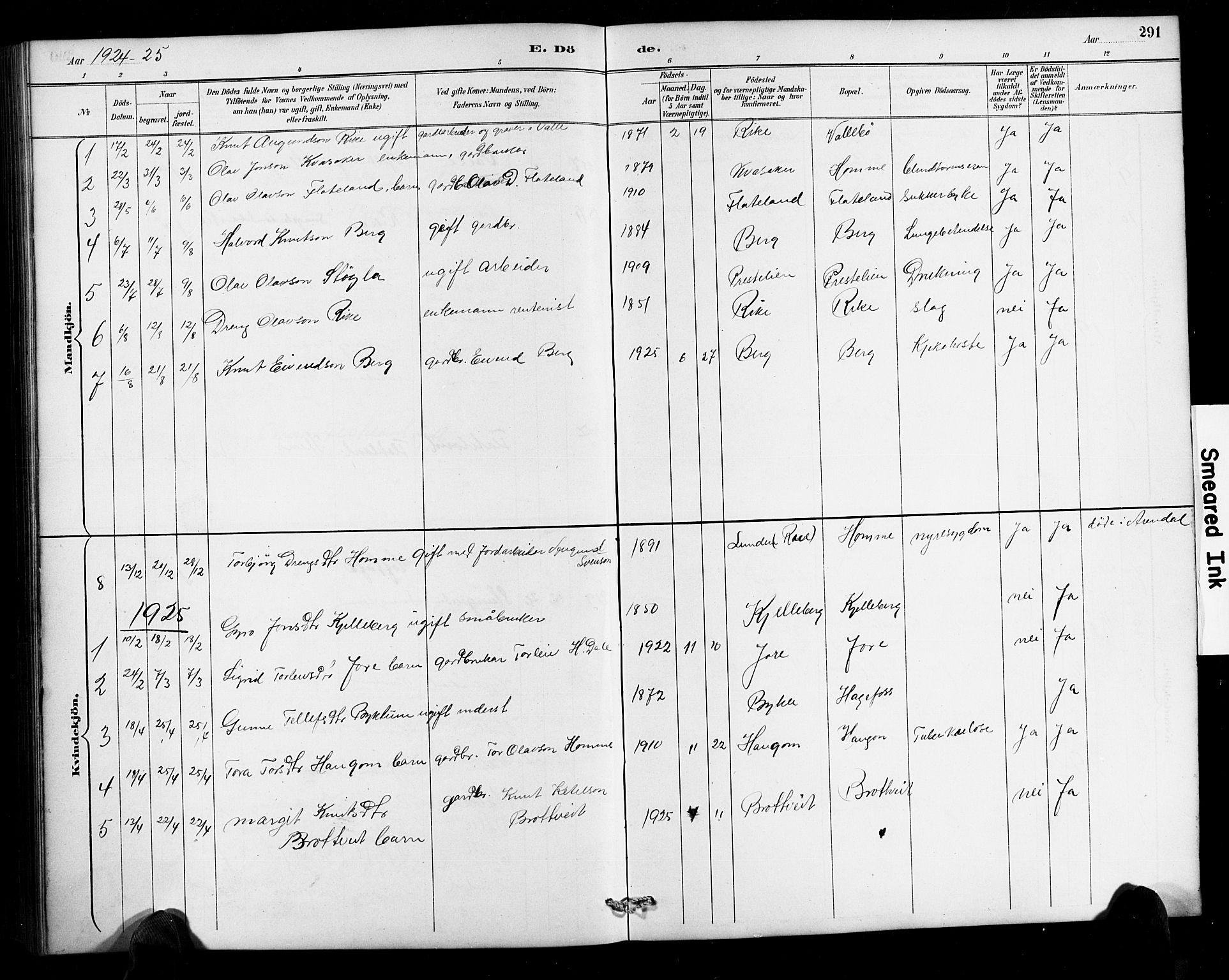 Valle sokneprestkontor, SAK/1111-0044/F/Fb/Fbc/L0004: Parish register (copy) no. B 4, 1890-1928, p. 291