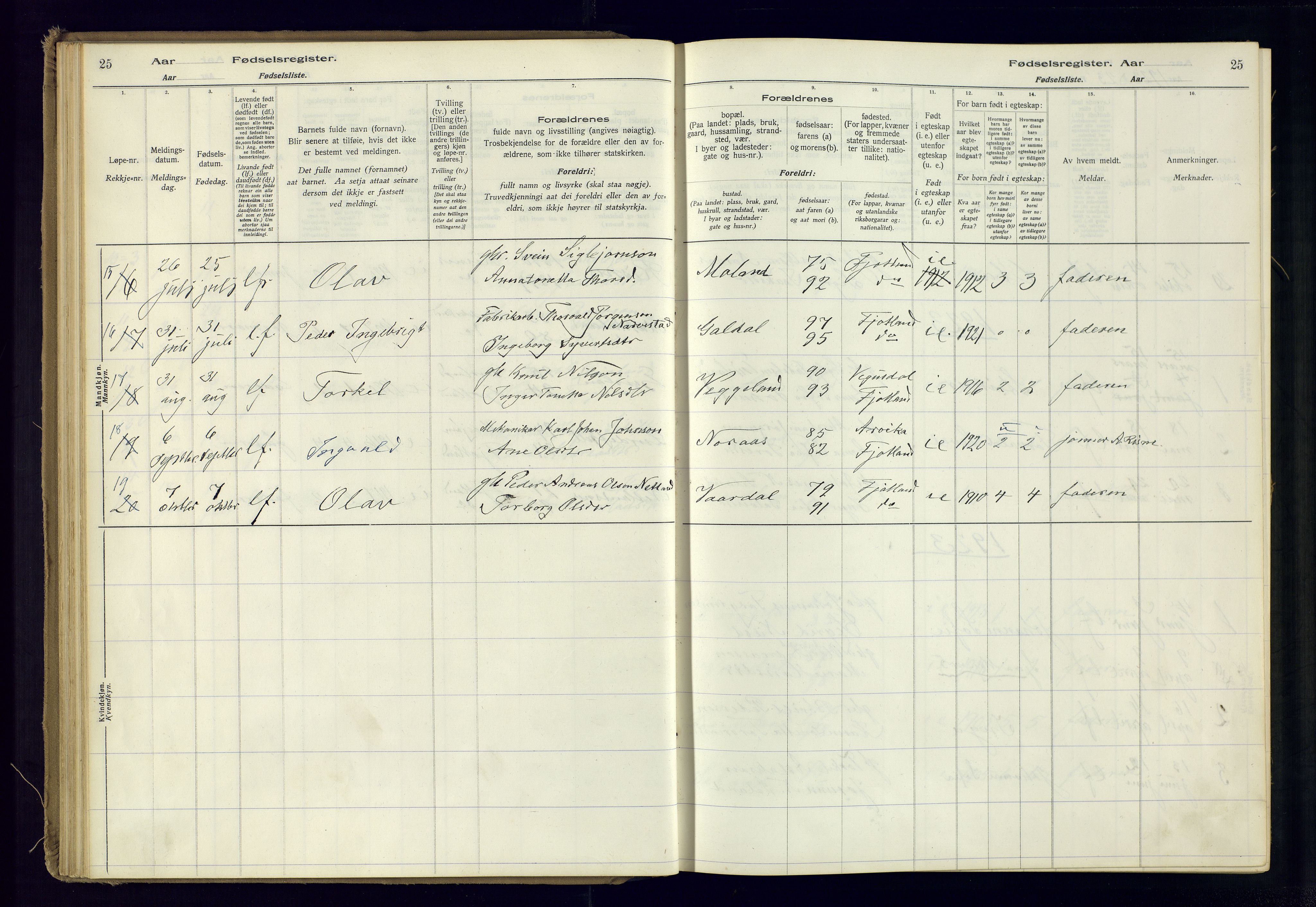 Fjotland sokneprestkontor, AV/SAK-1111-0010/J/Ja/L0001: Birth register no. 1, 1916-1981, p. 25