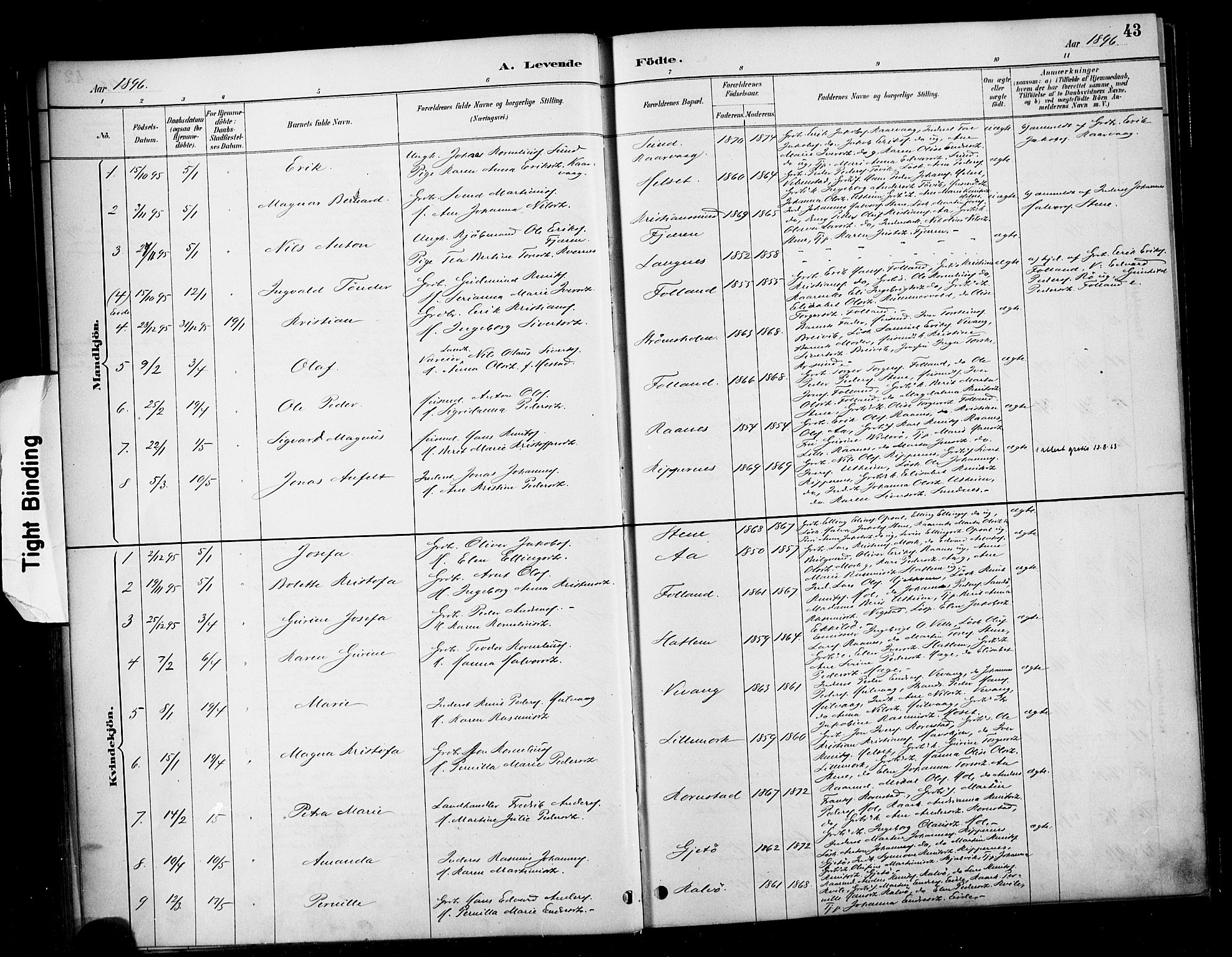 Ministerialprotokoller, klokkerbøker og fødselsregistre - Møre og Romsdal, SAT/A-1454/570/L0832: Parish register (official) no. 570A06, 1885-1900, p. 43