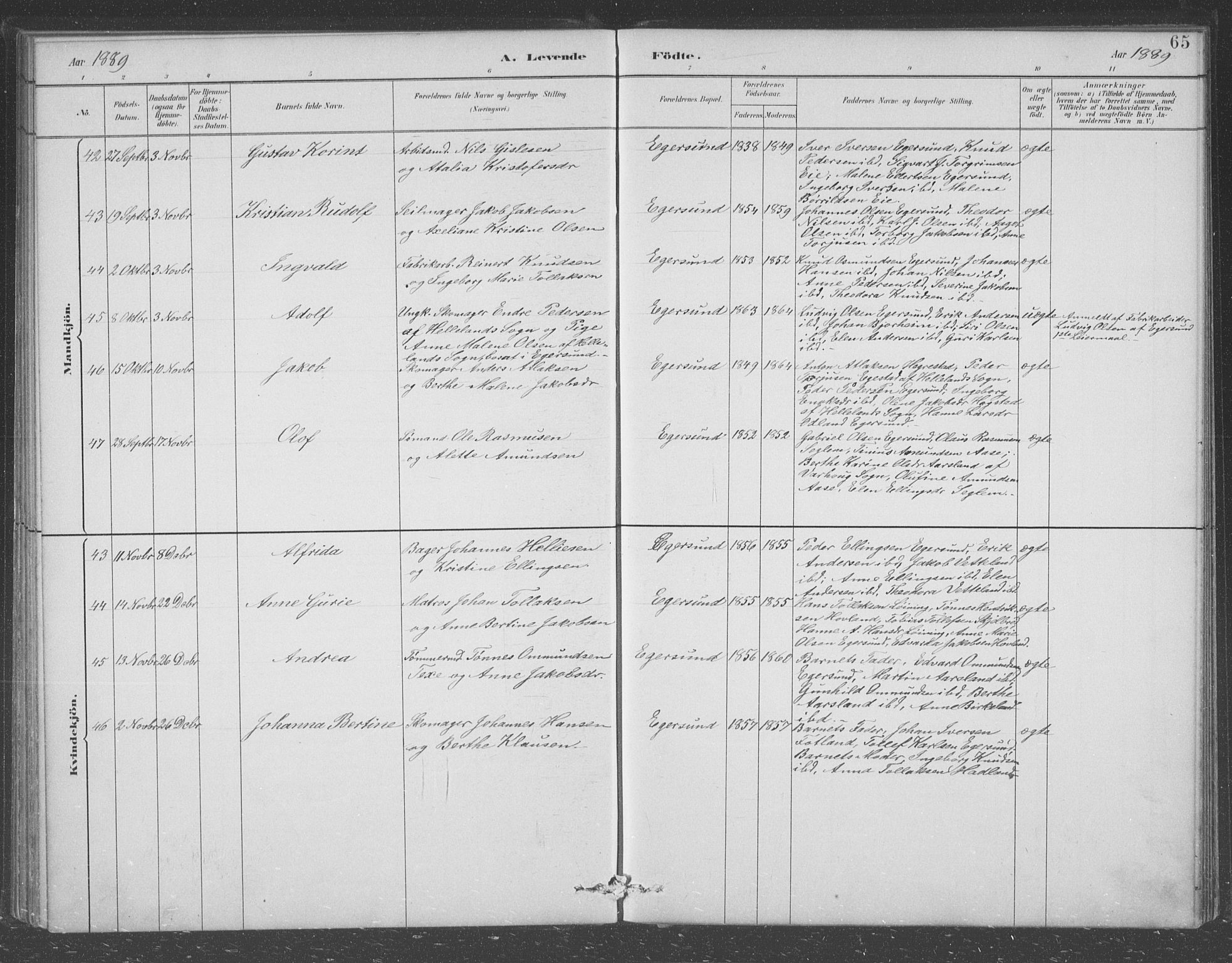 Eigersund sokneprestkontor, AV/SAST-A-101807/S09/L0008: Parish register (copy) no. B 8, 1882-1892, p. 65