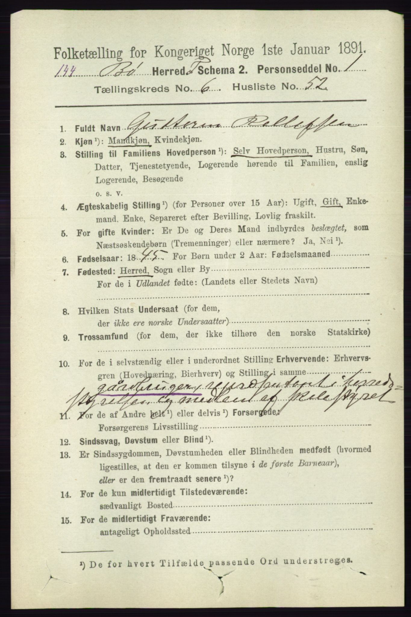 RA, 1891 census for 0821 Bø, 1891, p. 2136