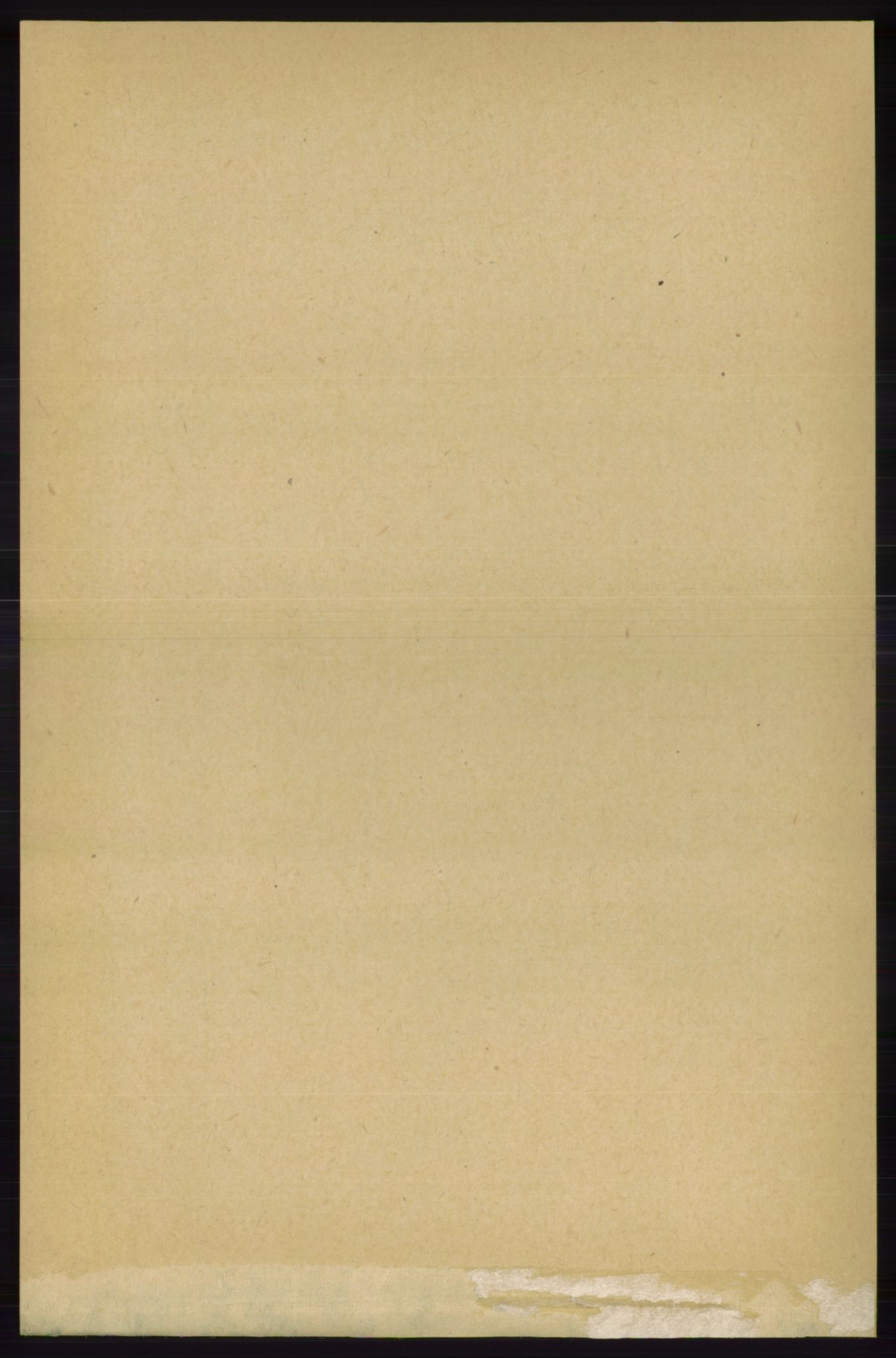 RA, 1891 census for 1139 Nedstrand, 1891, p. 244