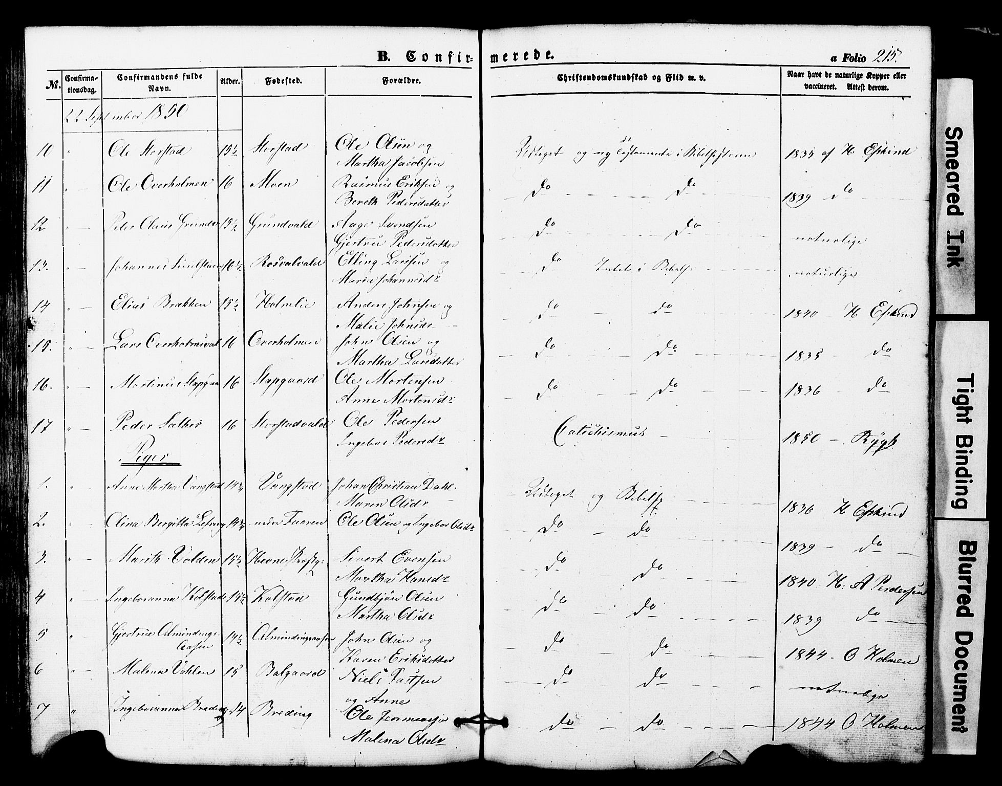 Ministerialprotokoller, klokkerbøker og fødselsregistre - Nord-Trøndelag, SAT/A-1458/724/L0268: Parish register (copy) no. 724C04, 1846-1878, p. 215