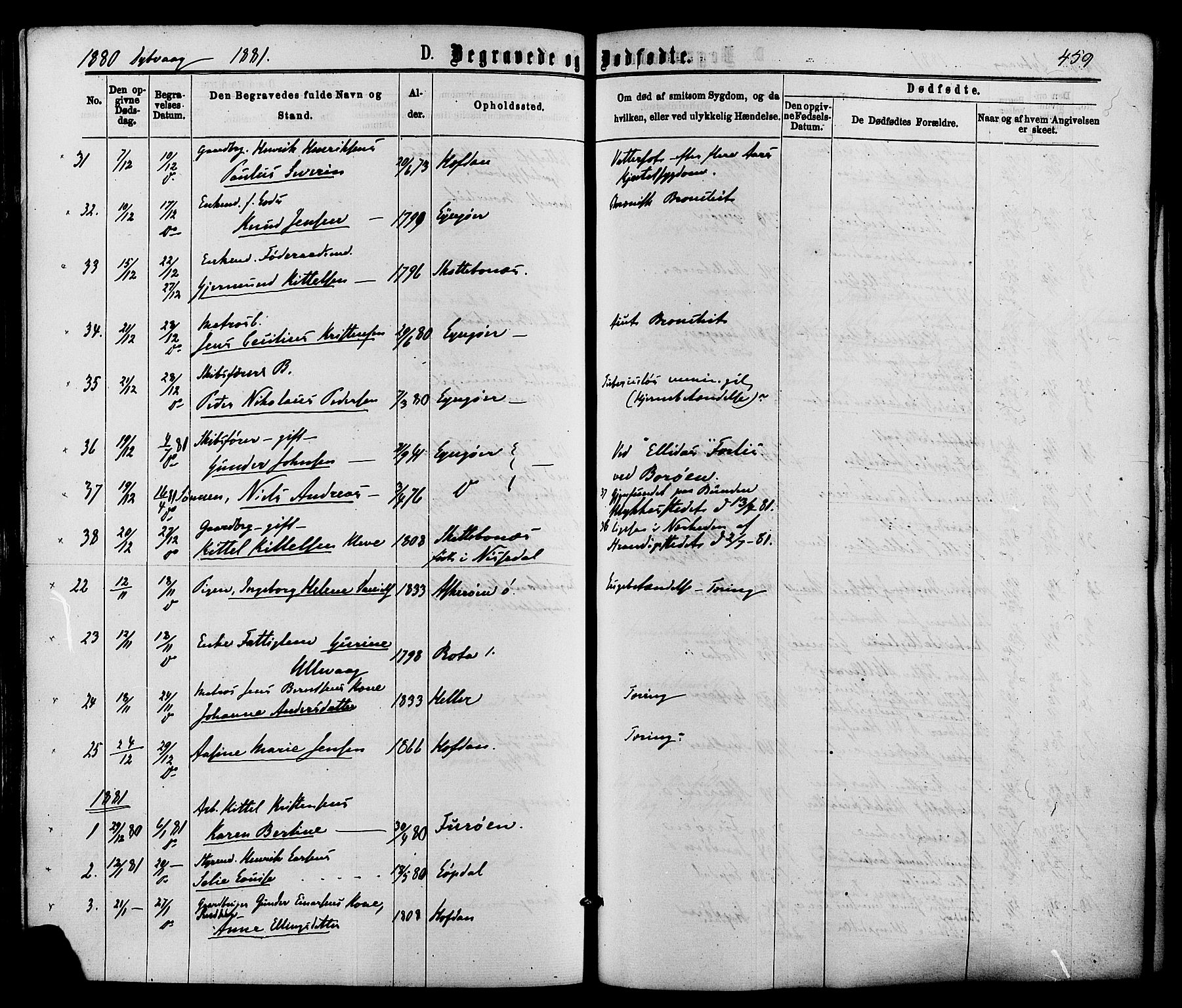 Dypvåg sokneprestkontor, SAK/1111-0007/F/Fa/Faa/L0007: Parish register (official) no. A 7/ 1, 1872-1884, p. 459