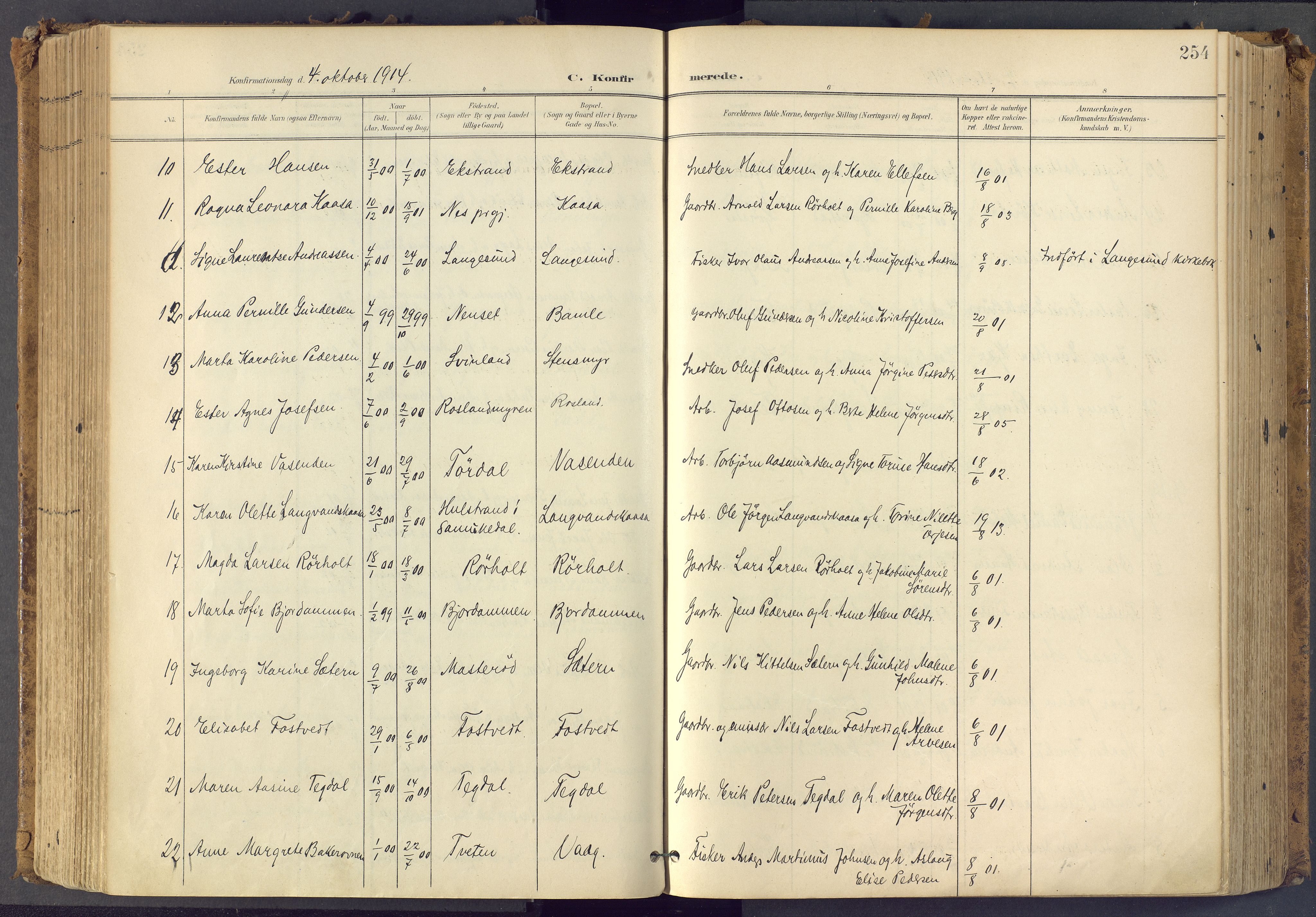 Bamble kirkebøker, SAKO/A-253/F/Fa/L0009: Parish register (official) no. I 9, 1901-1917, p. 254
