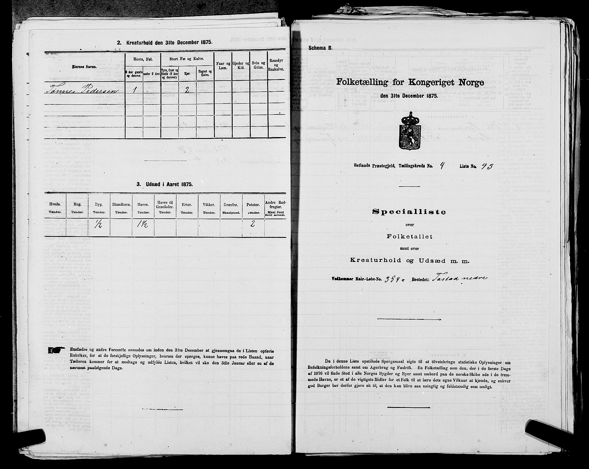 SAST, 1875 census for 1126P Hetland, 1875, p. 946
