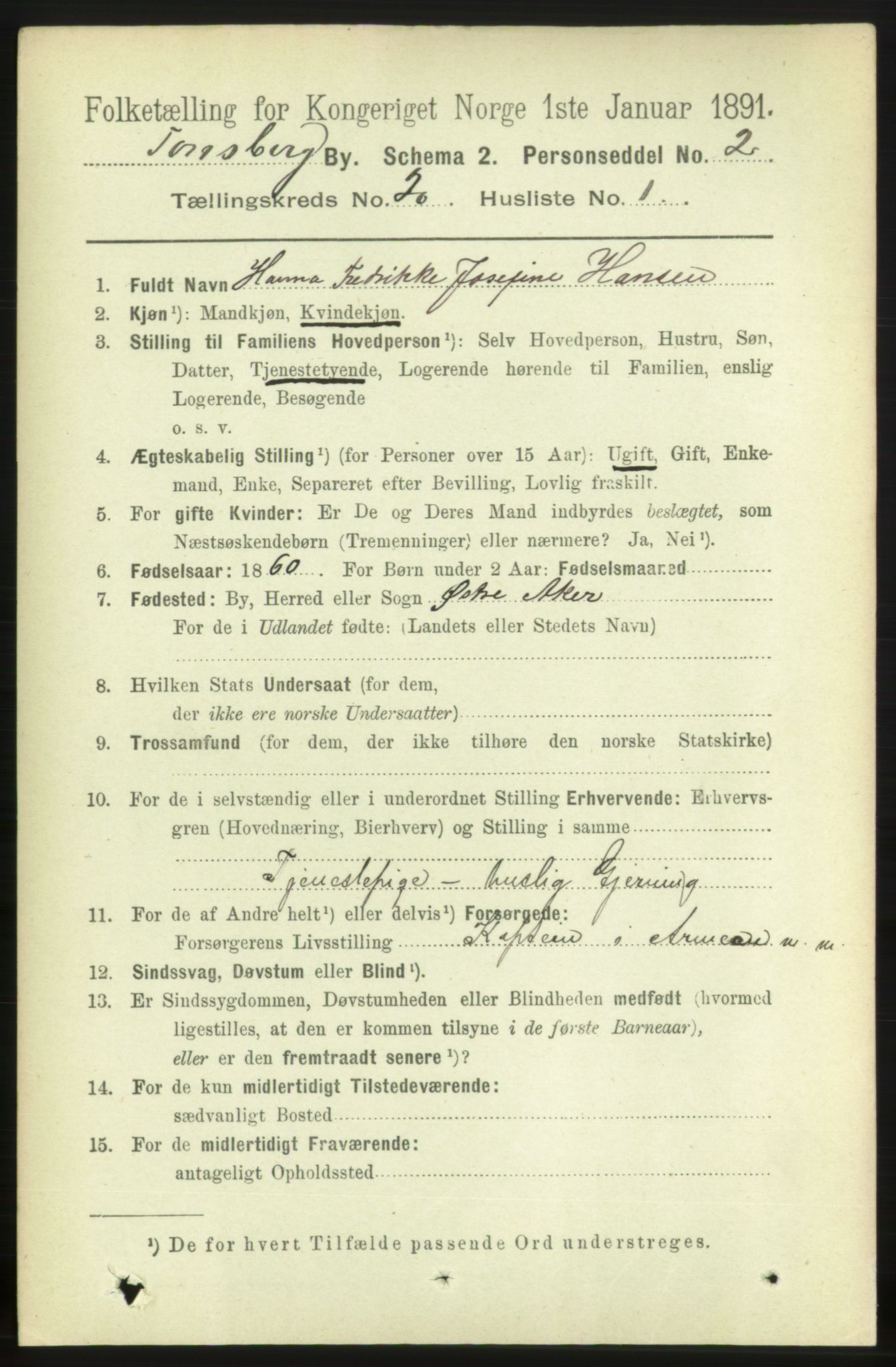 RA, 1891 census for 0705 Tønsberg, 1891, p. 5381