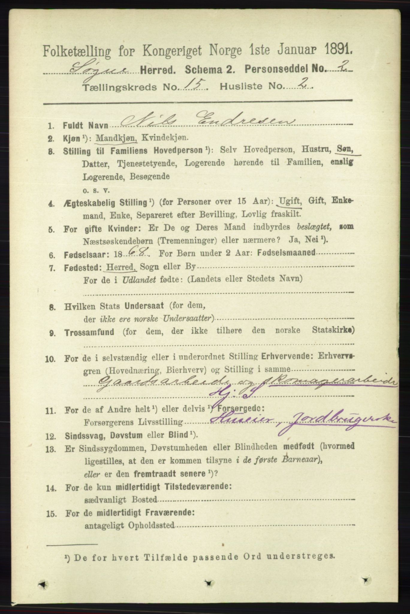 RA, 1891 census for 1018 Søgne, 1891, p. 3904