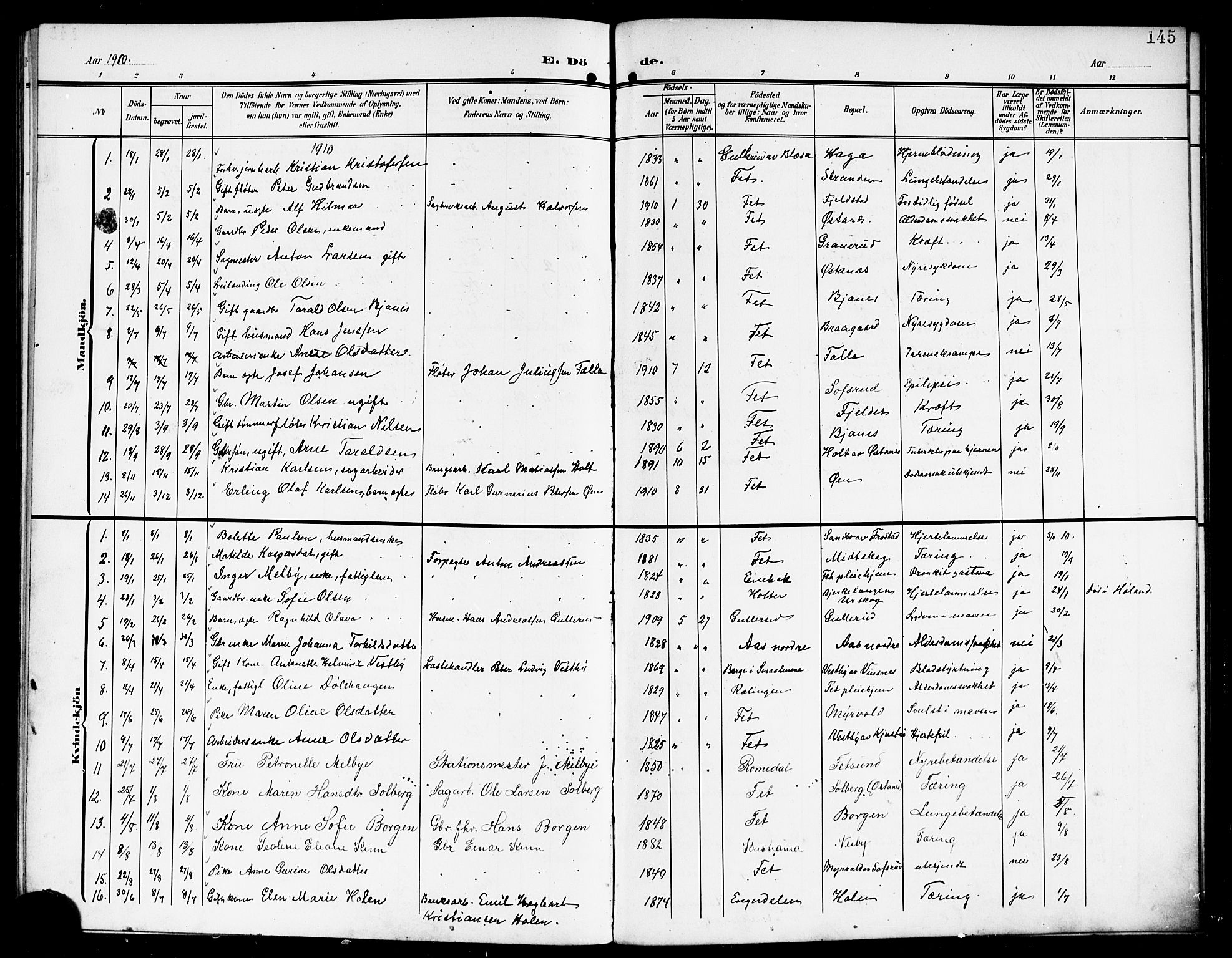 Fet prestekontor Kirkebøker, SAO/A-10370a/G/Ga/L0008: Parish register (copy) no. I 8, 1907-1920, p. 145