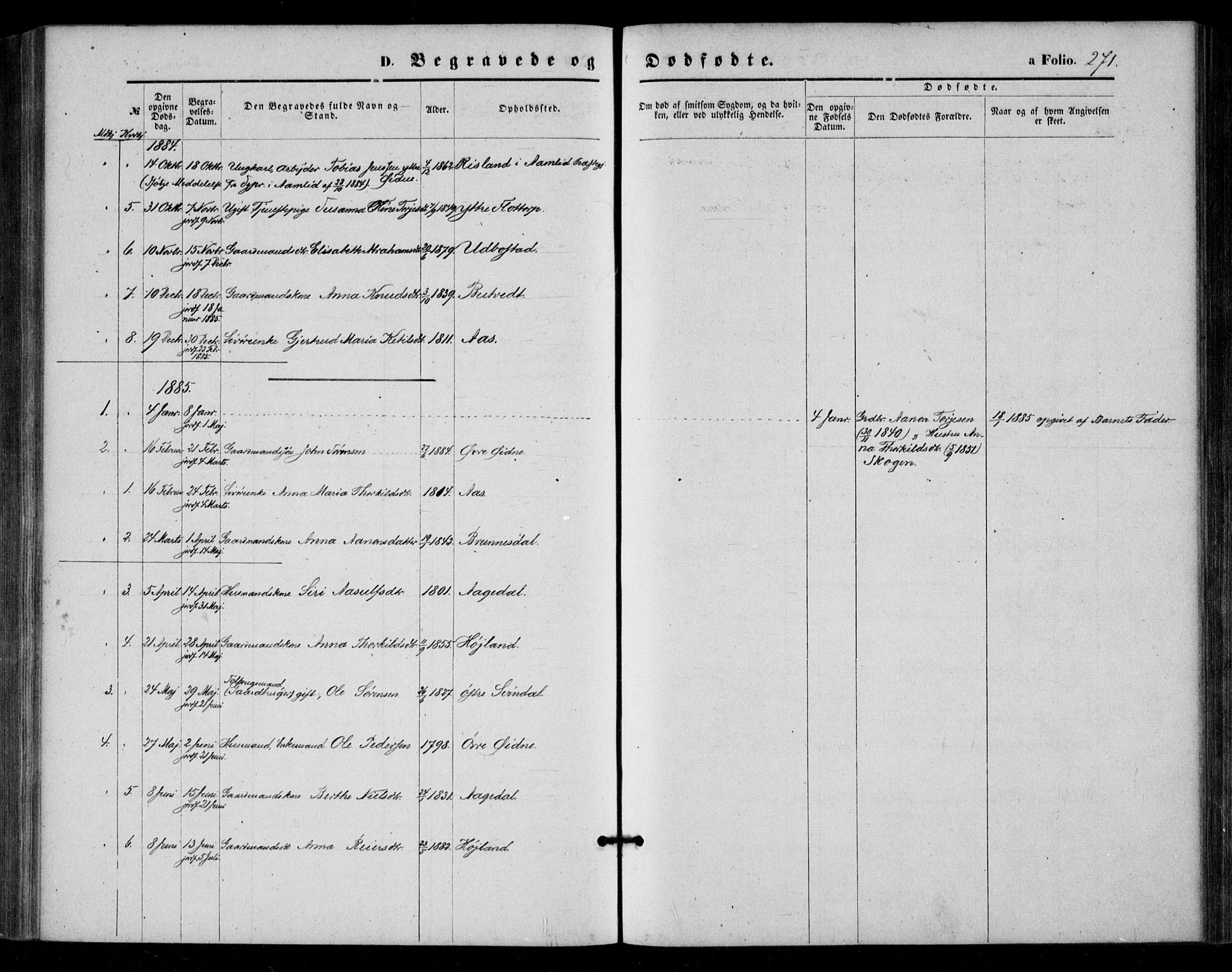 Bjelland sokneprestkontor, SAK/1111-0005/F/Fa/Fac/L0002: Parish register (official) no. A 2, 1866-1887, p. 271