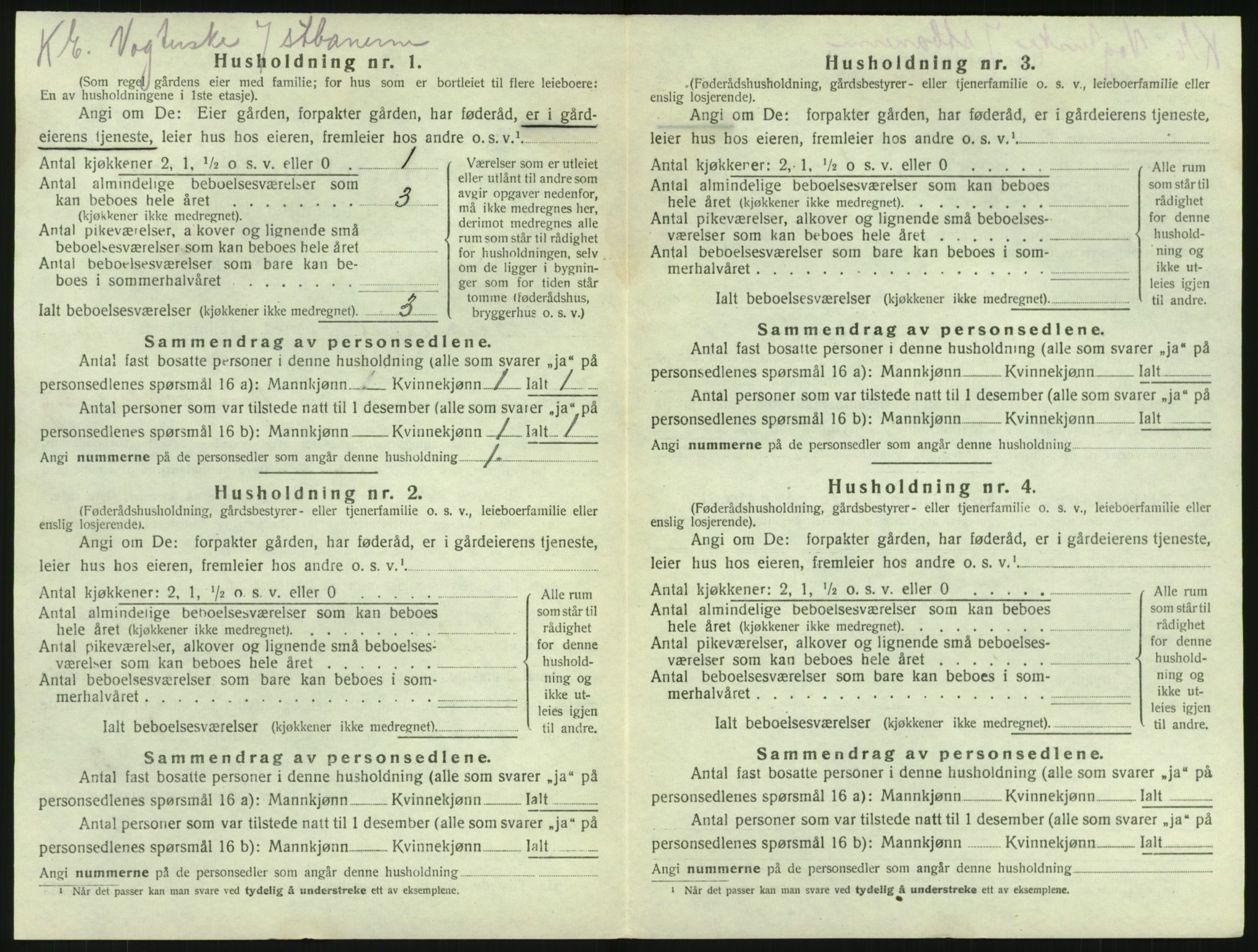 SAKO, 1920 census for Brunlanes, 1920, p. 1794