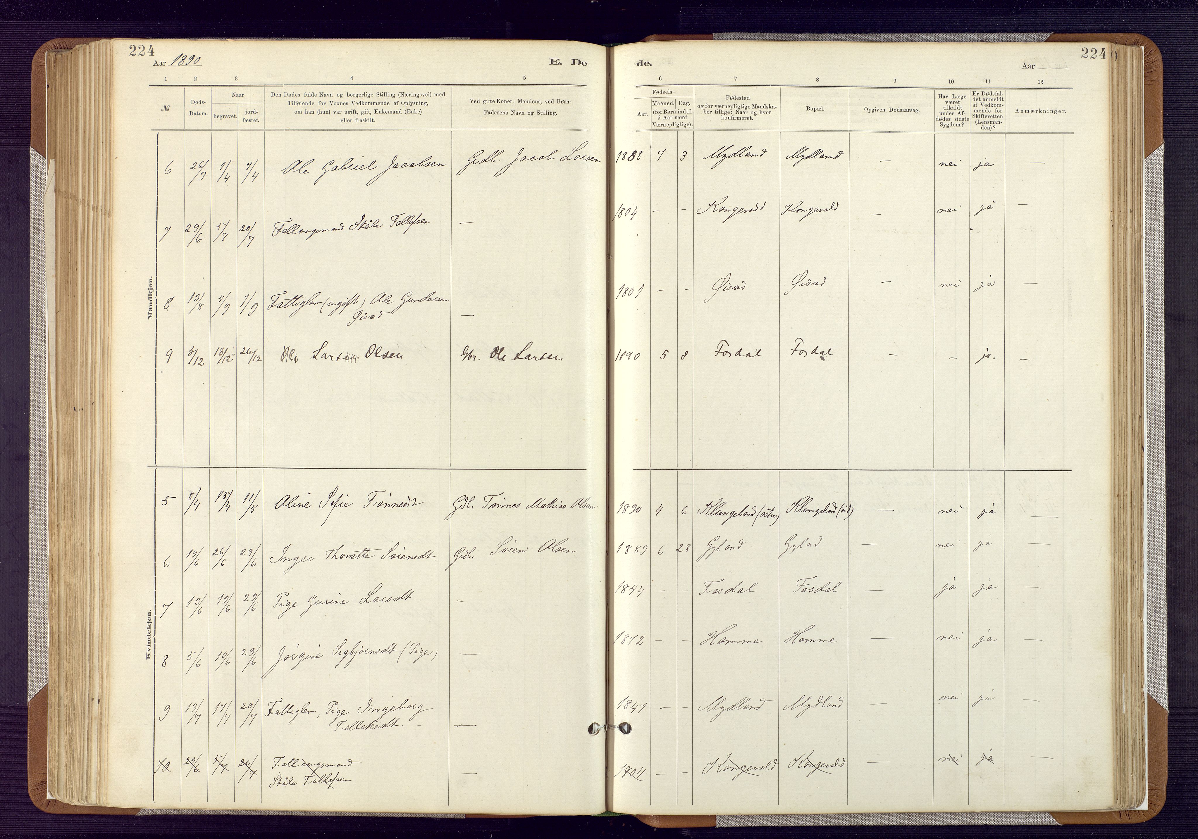 Bakke sokneprestkontor, AV/SAK-1111-0002/F/Fa/Fab/L0003: Parish register (official) no. A 3, 1884-1921, p. 224