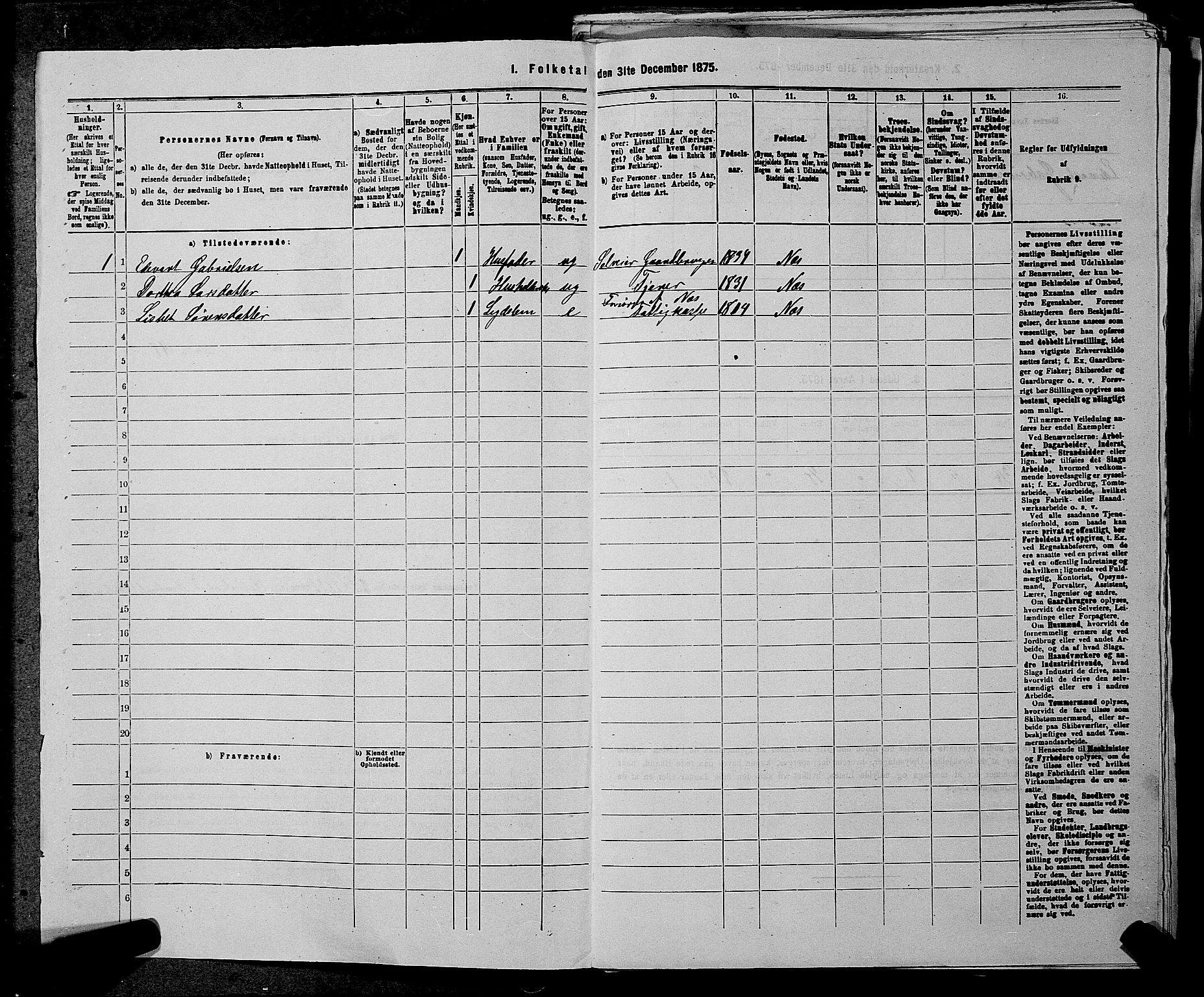 RA, 1875 census for 0236P Nes, 1875, p. 698