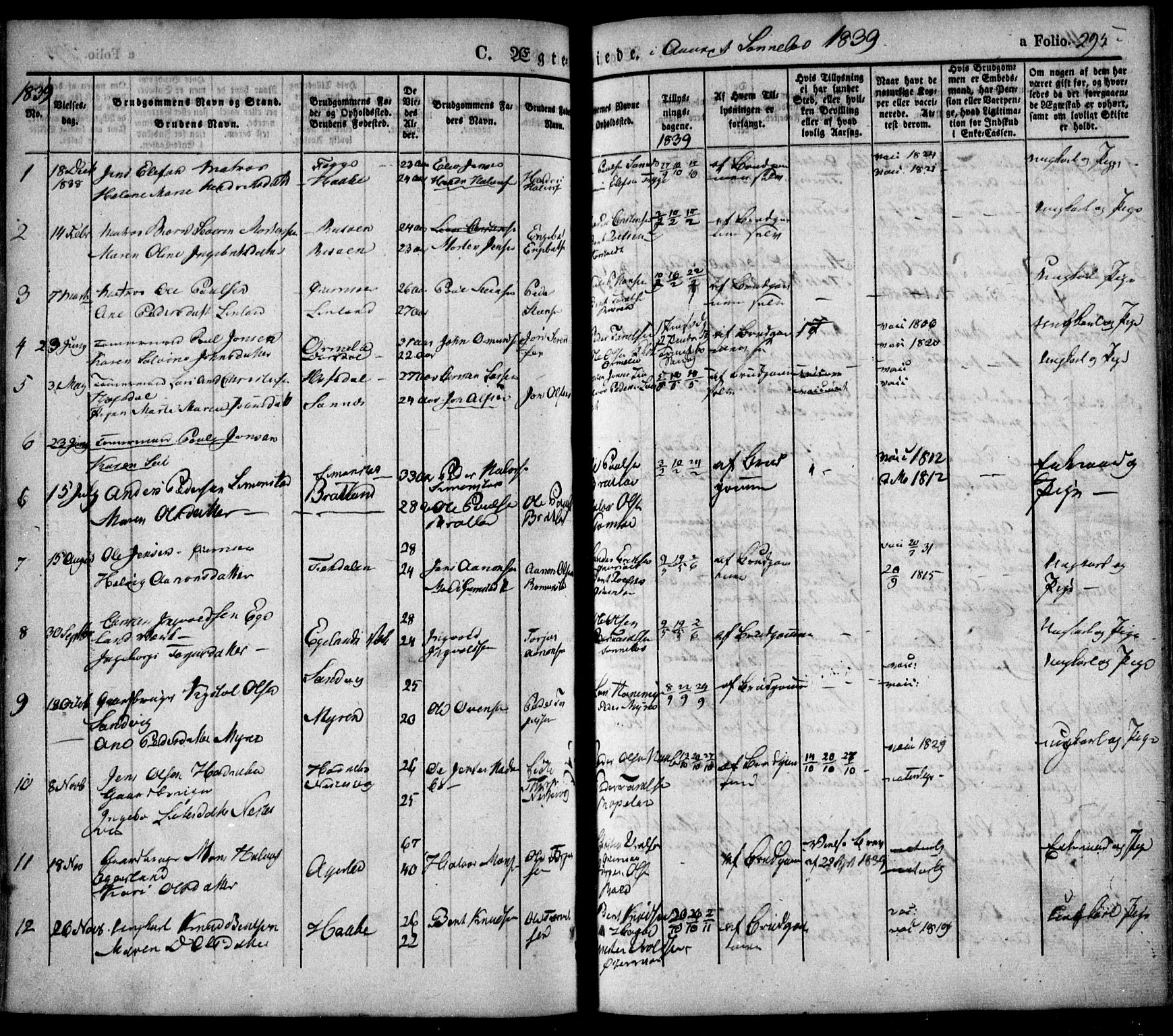 Søndeled sokneprestkontor, SAK/1111-0038/F/Fa/L0002: Parish register (official) no. A 2, 1839-1860, p. 295