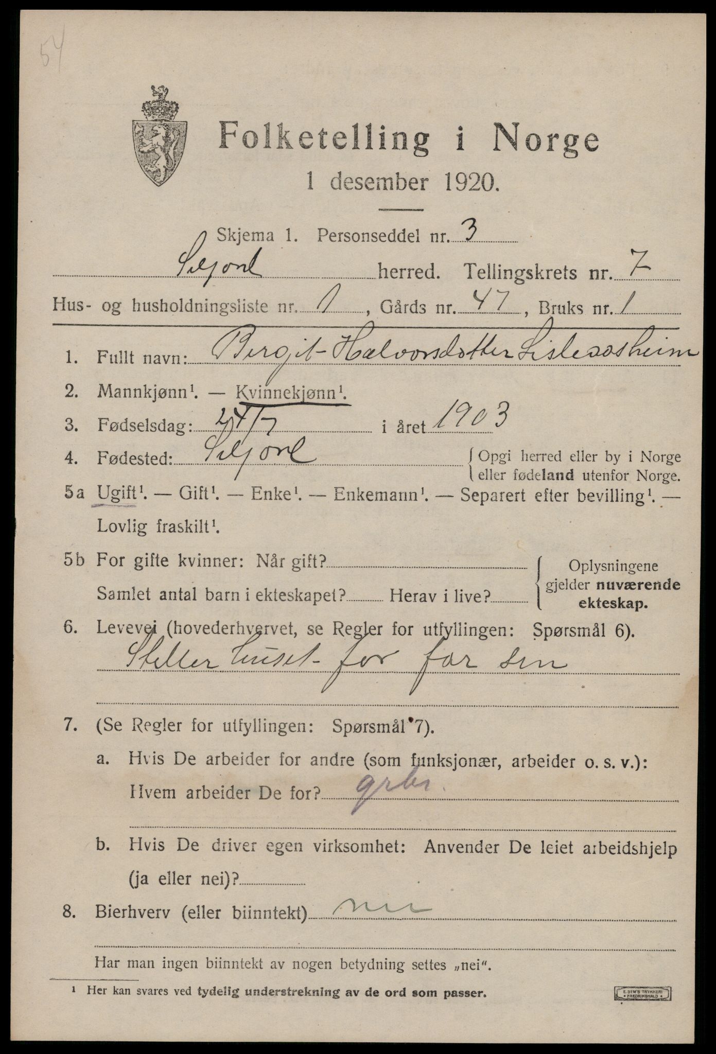 SAKO, 1920 census for Seljord, 1920, p. 3682