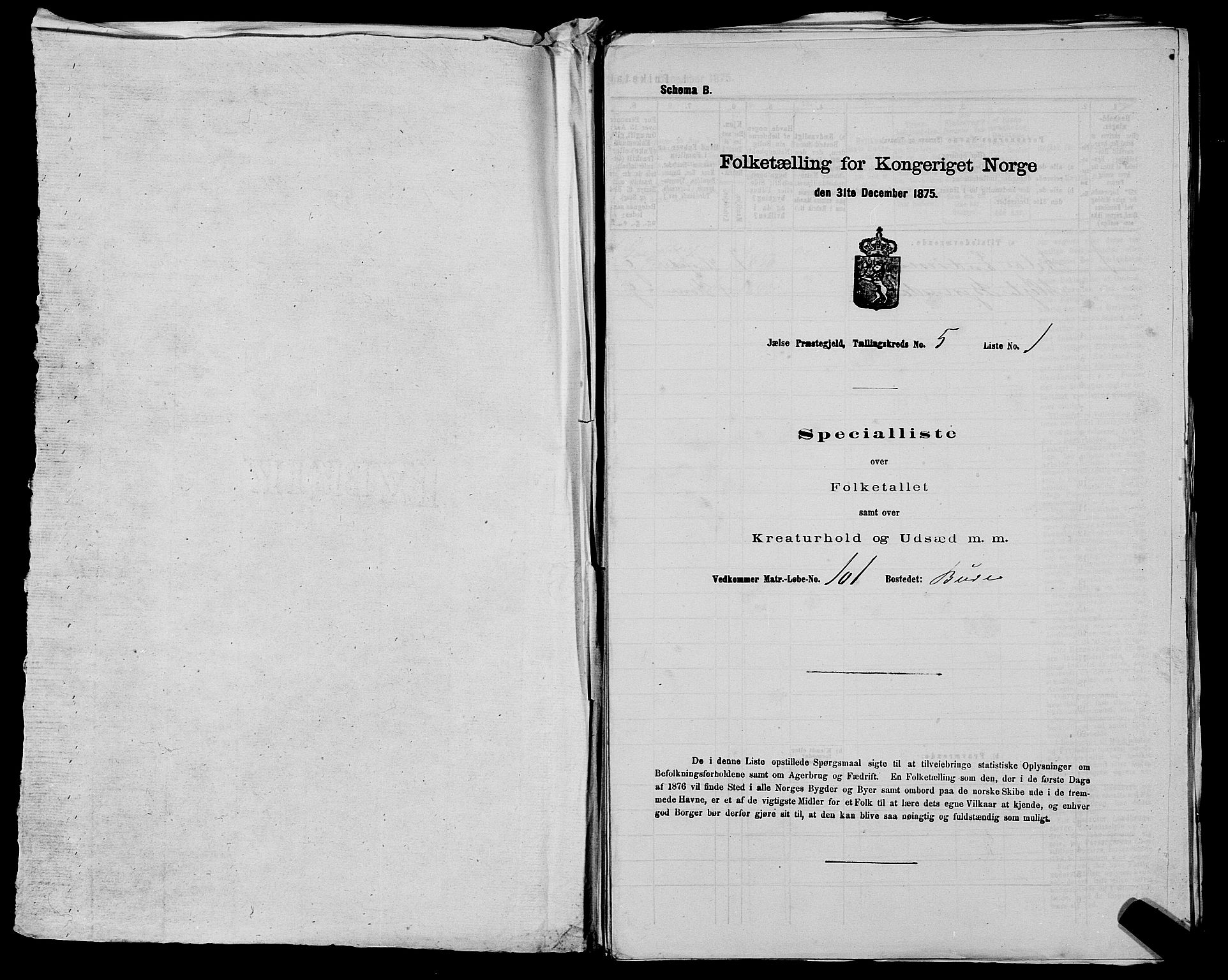 SAST, 1875 census for 1138P Jelsa, 1875, p. 411