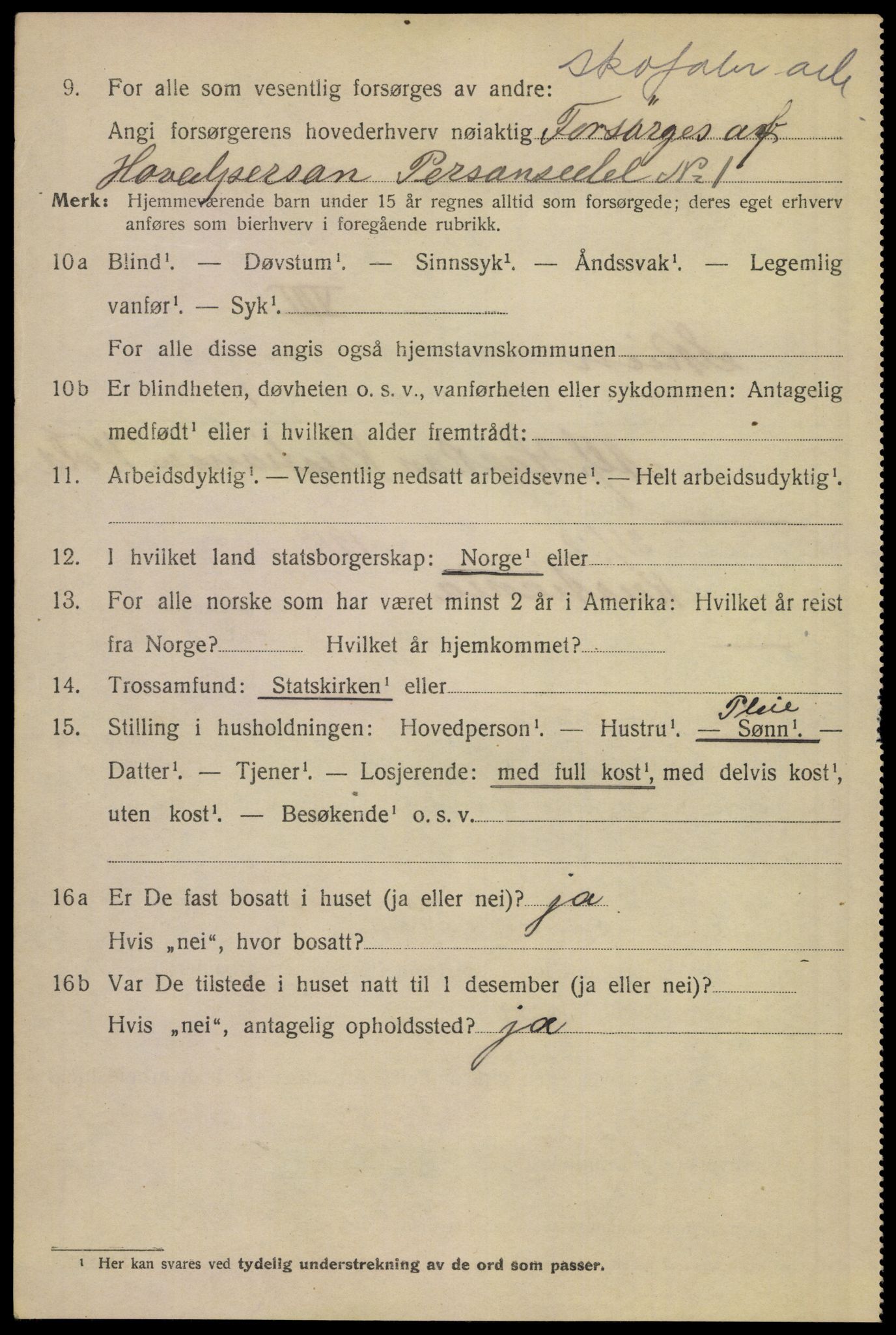 SAKO, 1920 census for Skien, 1920, p. 45631