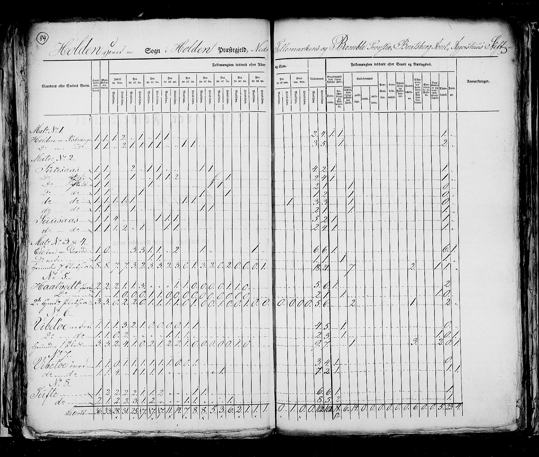 RA, Census 1825, vol. 9: Bratsberg amt, 1825, p. 84