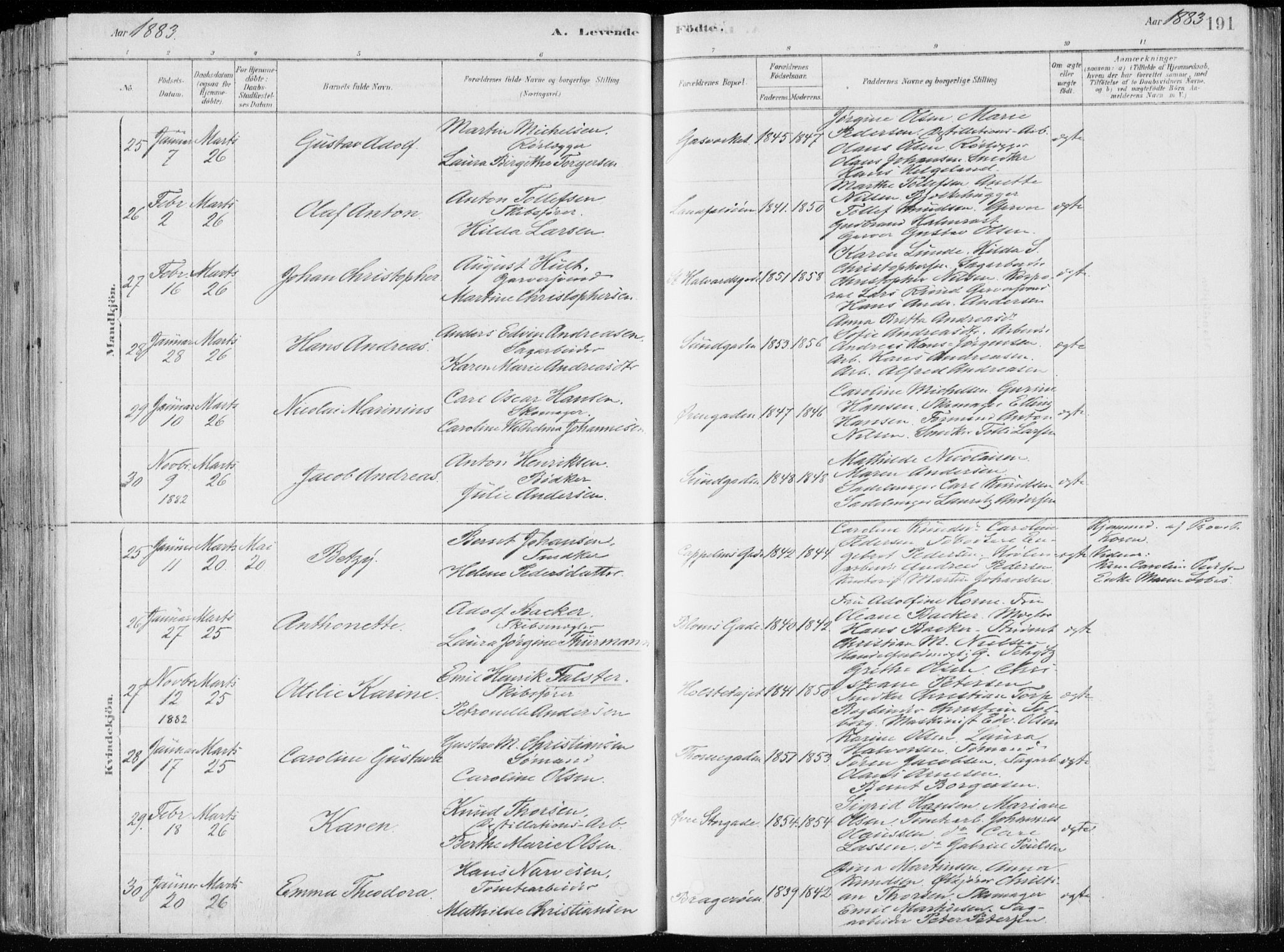 Bragernes kirkebøker, AV/SAKO-A-6/F/Fb/L0006a: Parish register (official) no. II 6A, 1878-1885, p. 191