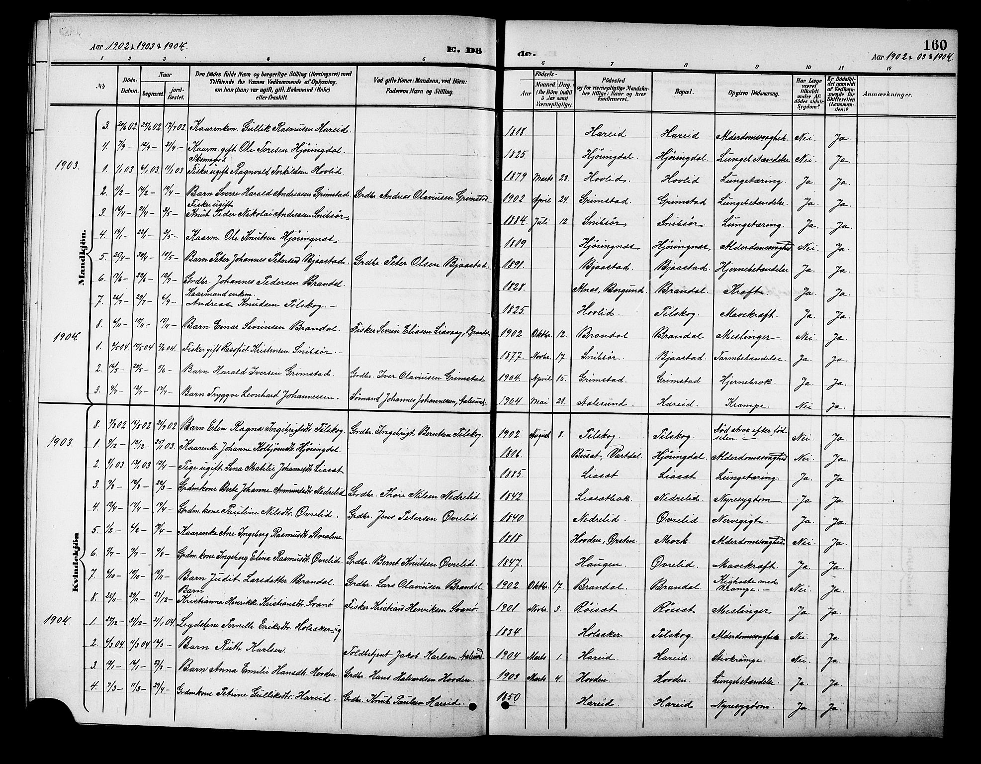 Ministerialprotokoller, klokkerbøker og fødselsregistre - Møre og Romsdal, AV/SAT-A-1454/510/L0126: Parish register (copy) no. 510C03, 1900-1922, p. 160