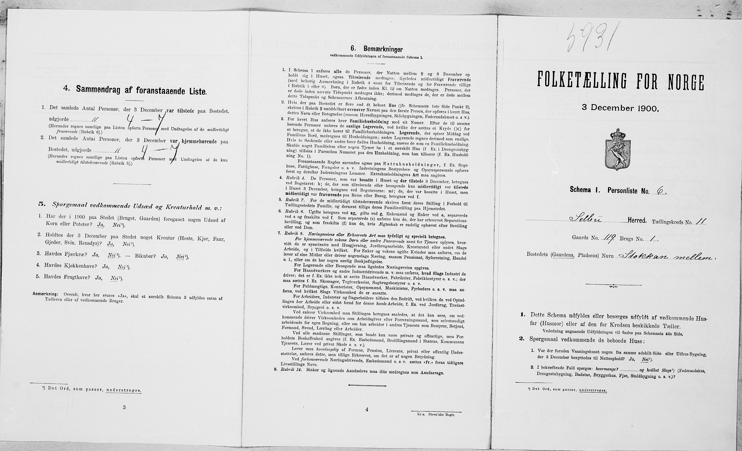 SAT, 1900 census for Selbu, 1900, p. 1124