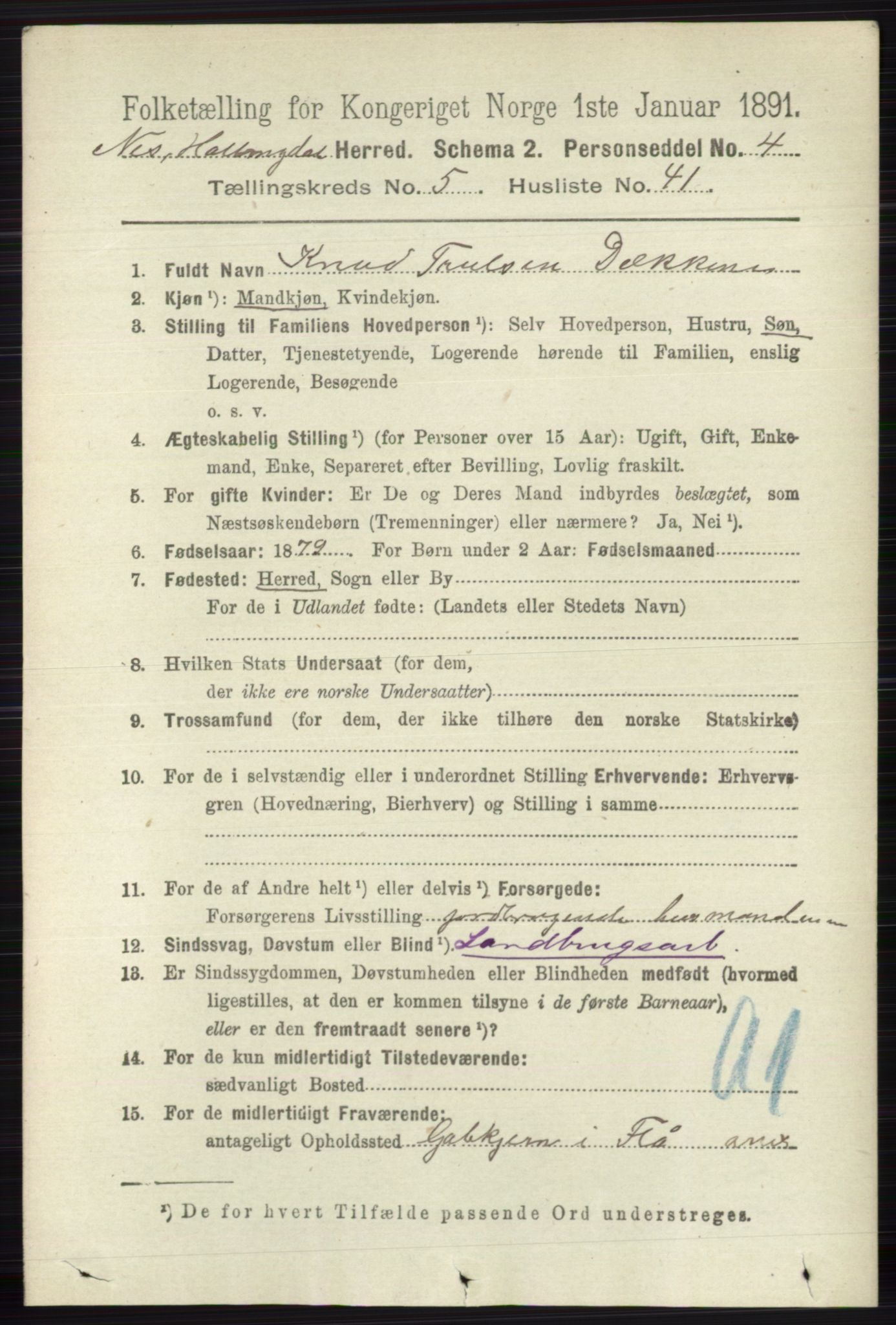 RA, 1891 census for 0616 Nes, 1891, p. 2857