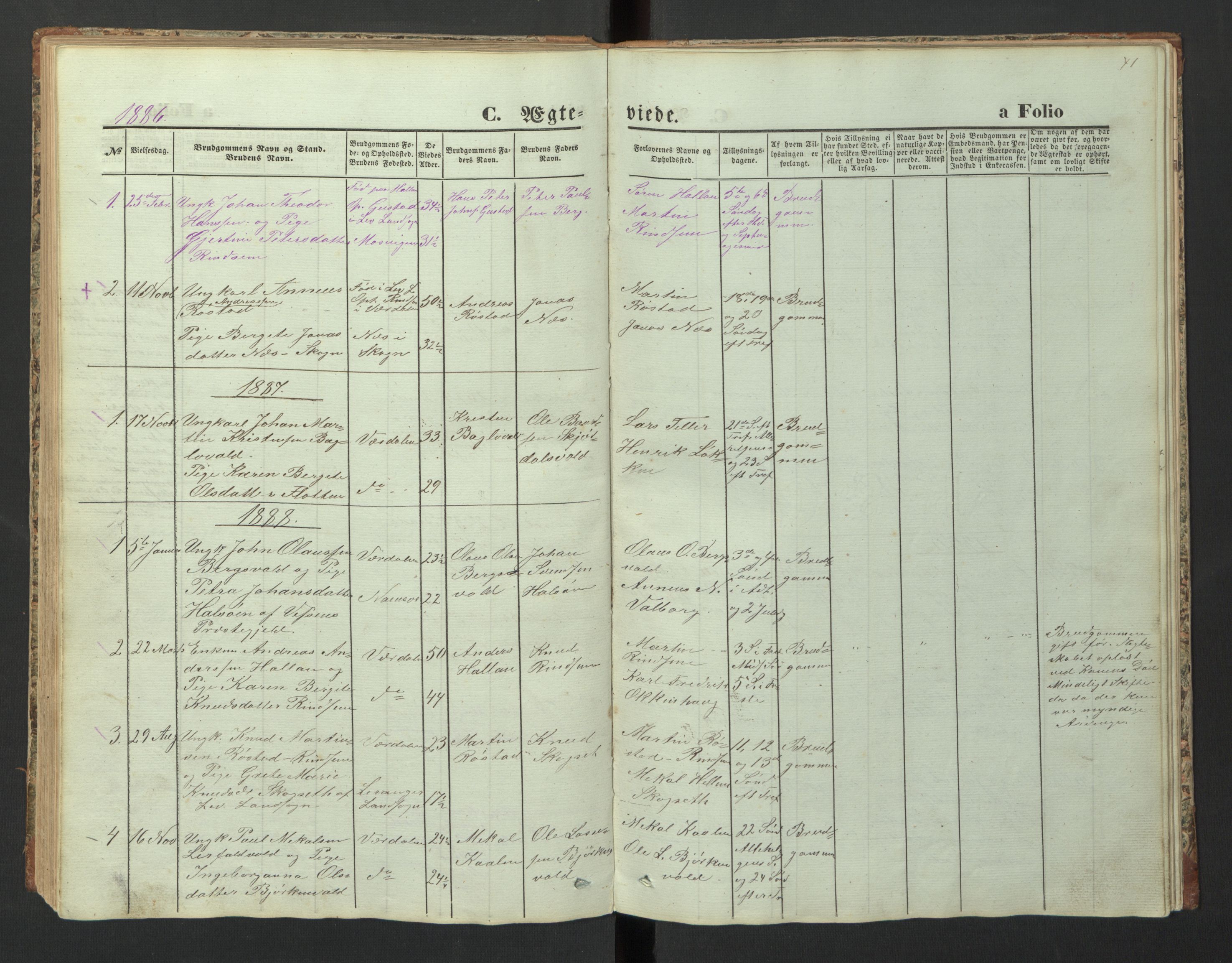 Ministerialprotokoller, klokkerbøker og fødselsregistre - Nord-Trøndelag, SAT/A-1458/726/L0271: Parish register (copy) no. 726C02, 1869-1897, p. 71