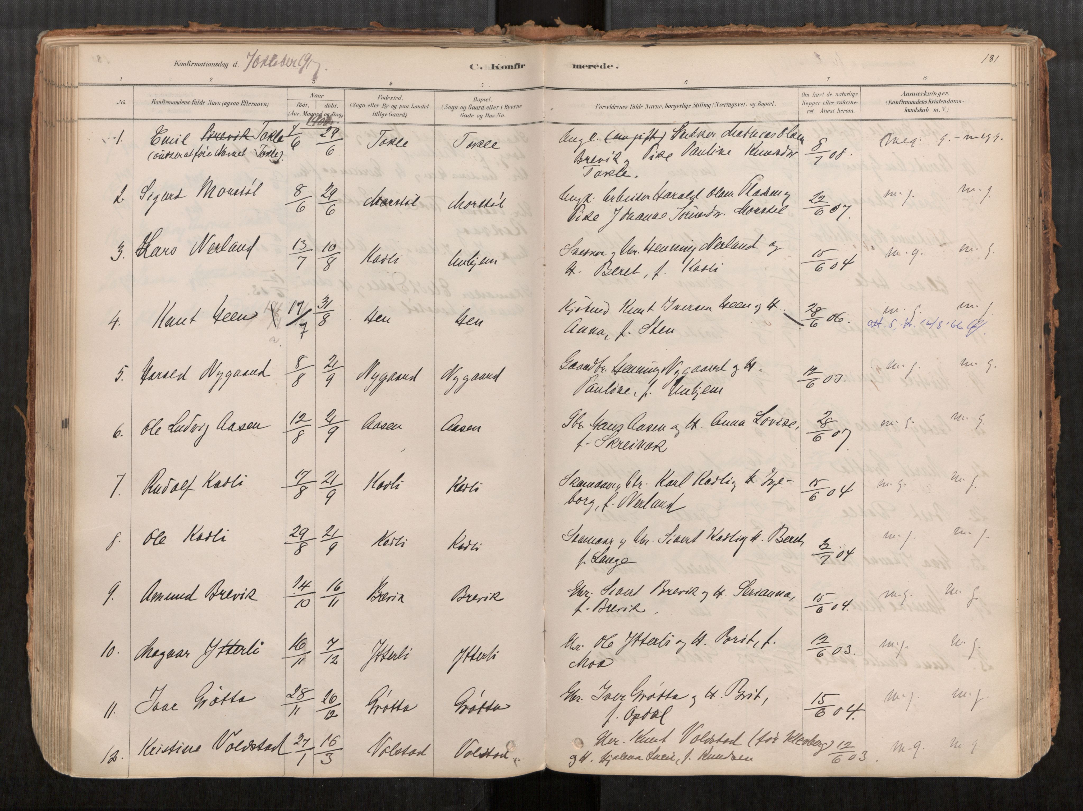Ministerialprotokoller, klokkerbøker og fødselsregistre - Møre og Romsdal, SAT/A-1454/545/L0594: Parish register (official) no. 545A03, 1878-1920, p. 181