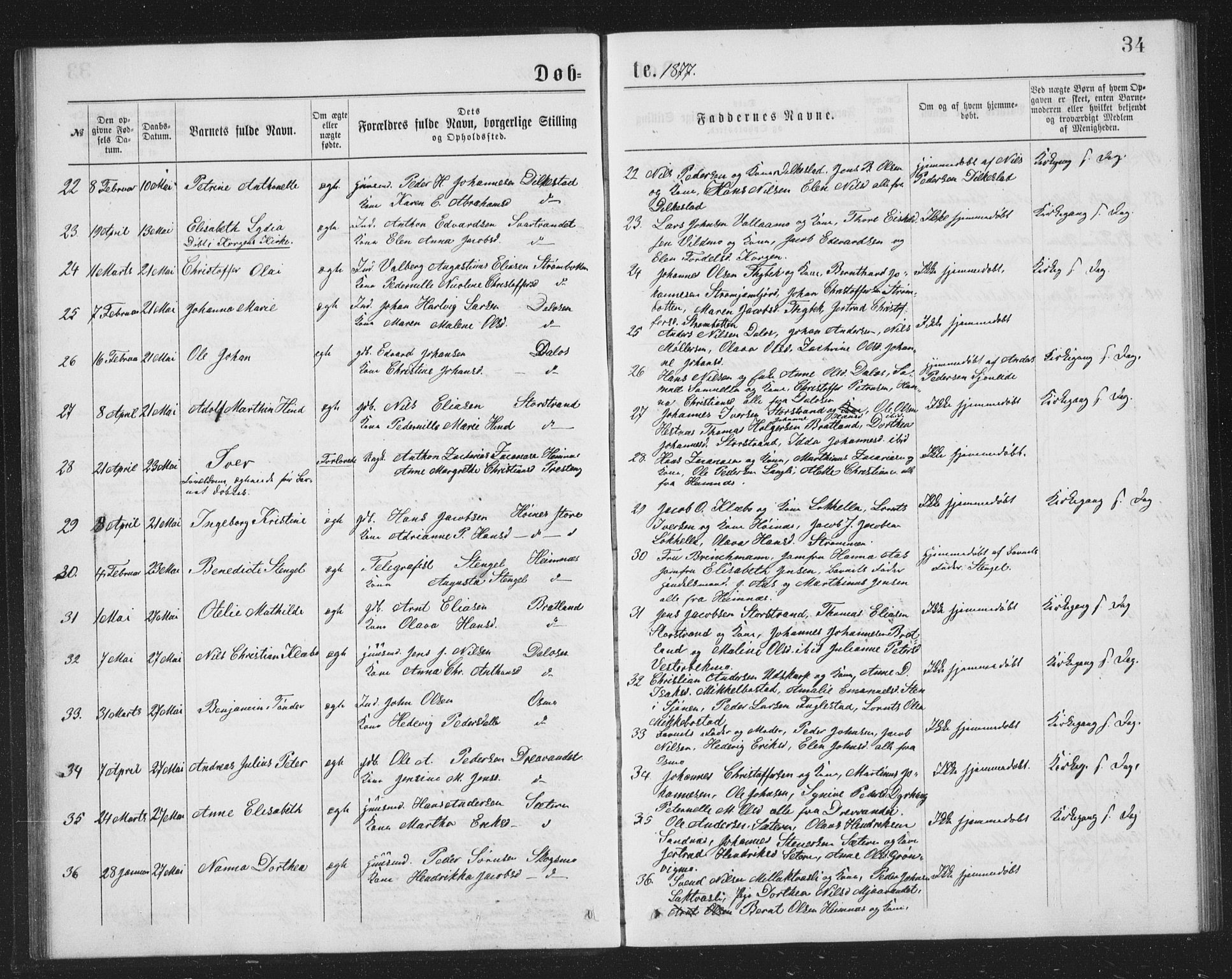 Ministerialprotokoller, klokkerbøker og fødselsregistre - Nordland, AV/SAT-A-1459/825/L0369: Parish register (copy) no. 825C06, 1873-1885, p. 34