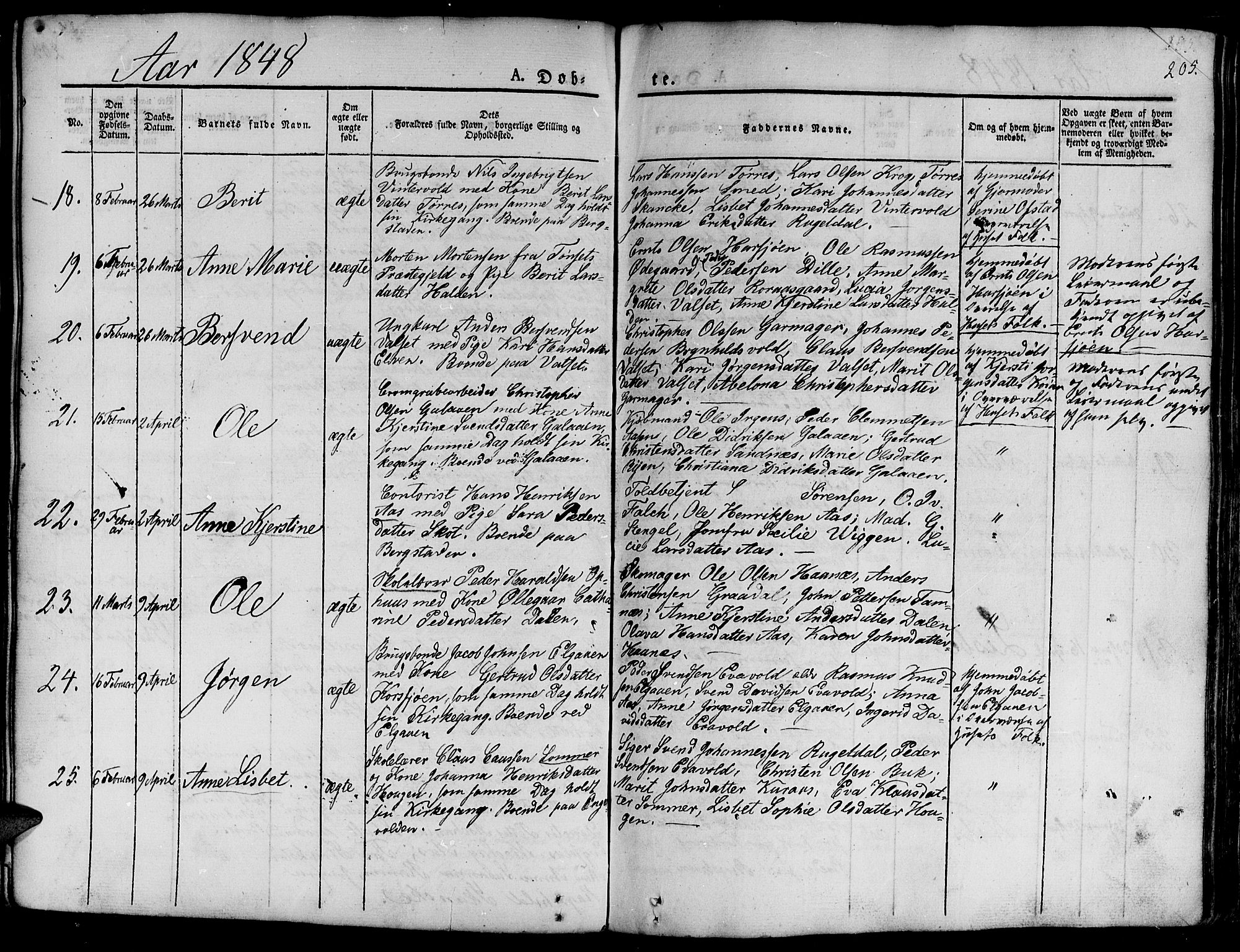 Ministerialprotokoller, klokkerbøker og fødselsregistre - Sør-Trøndelag, AV/SAT-A-1456/681/L0938: Parish register (copy) no. 681C02, 1829-1879, p. 205