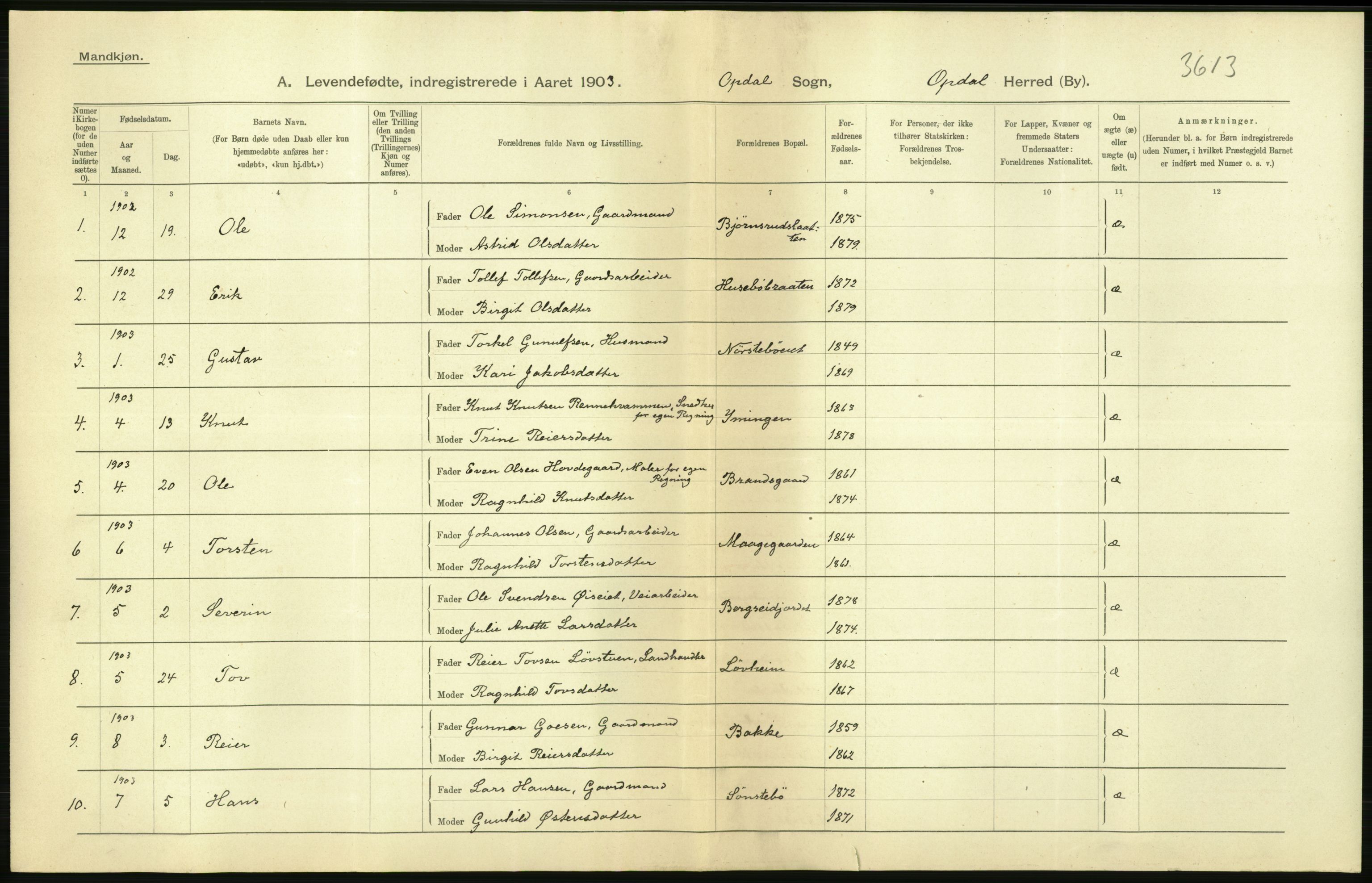 Statistisk sentralbyrå, Sosiodemografiske emner, Befolkning, AV/RA-S-2228/D/Df/Dfa/Dfaa/L0007: Buskeruds amt: Fødte, gifte, døde, 1903, p. 6